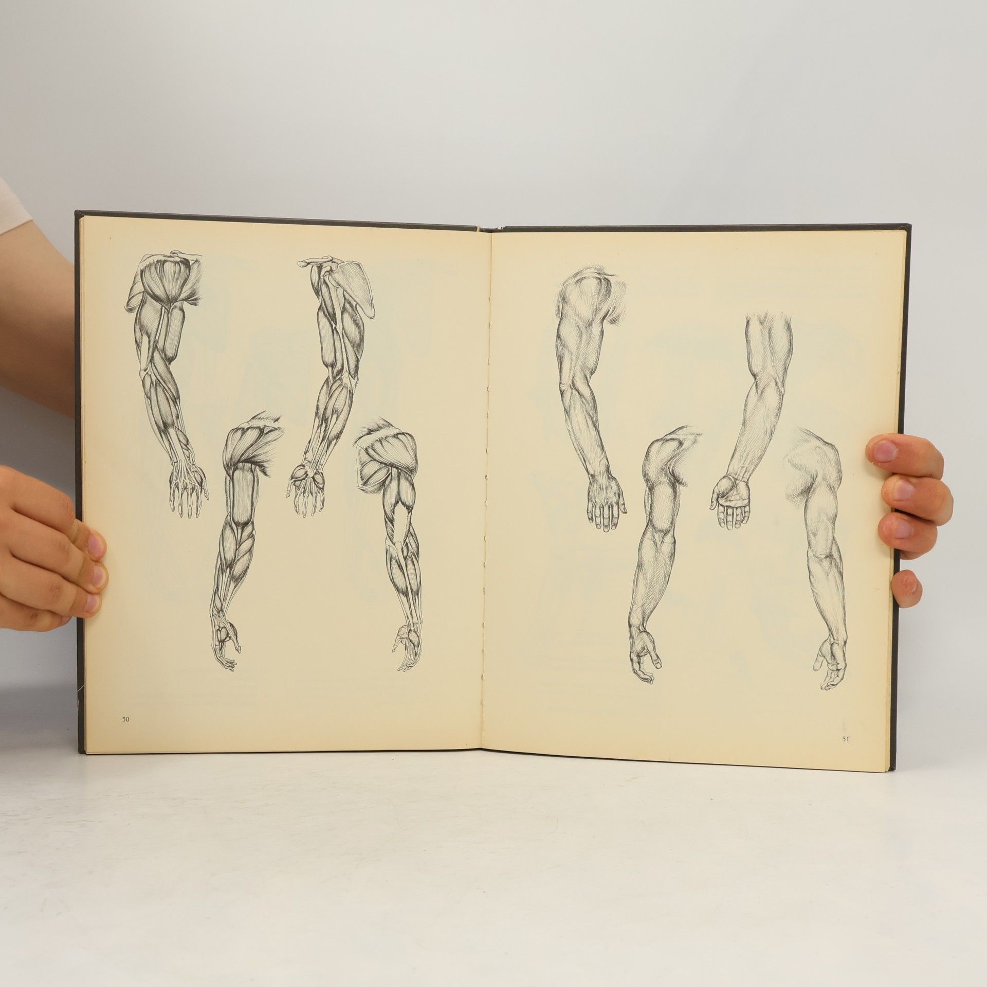 David K. Rubins Anatomie für Künstler