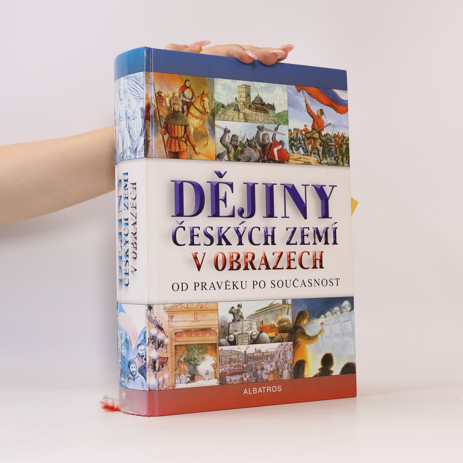 Dějiny českých zemí v obrazech. Od pravěku po současnost