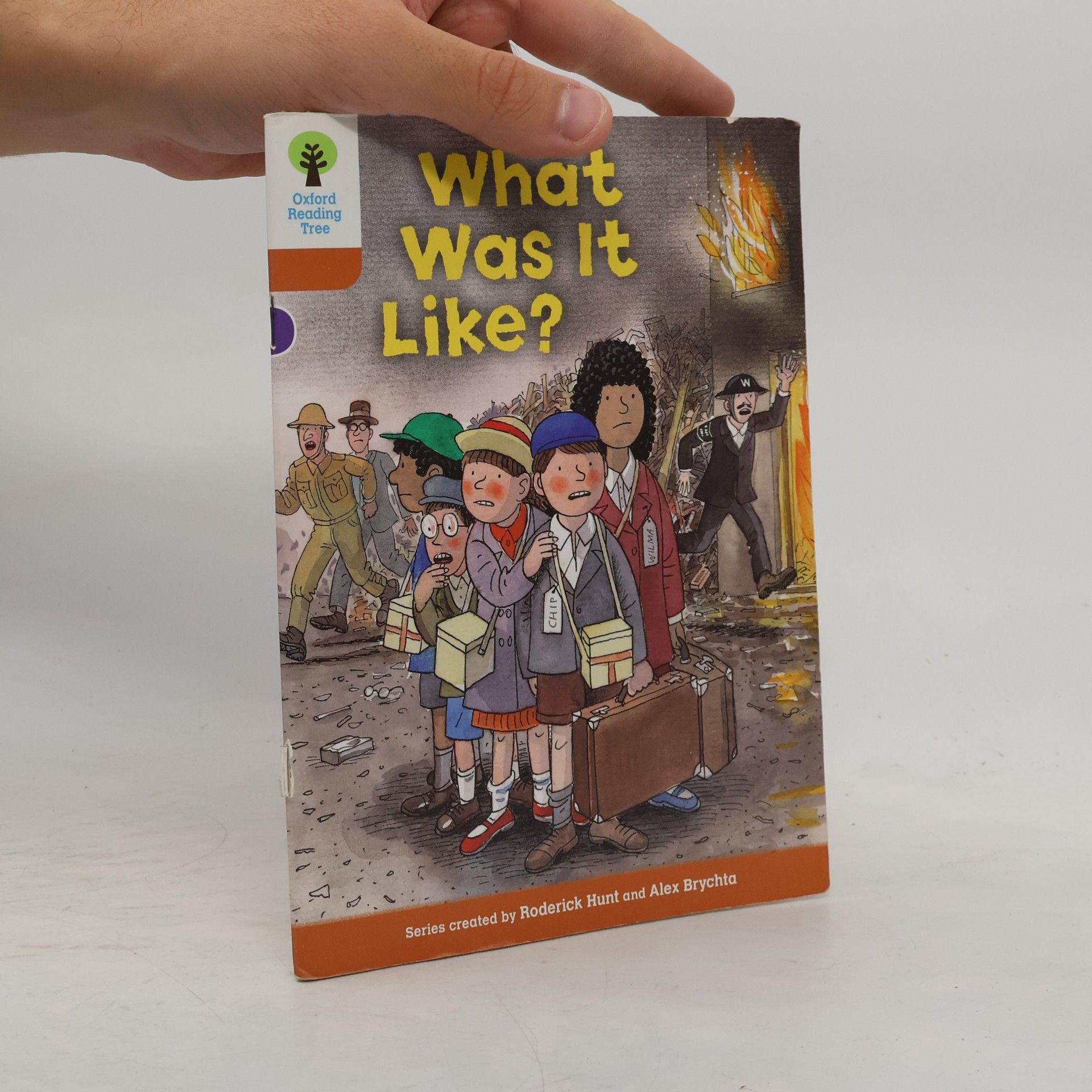 Roderick Hunt Oxford Reading Tree: More Stories - 8: What Was It Like?