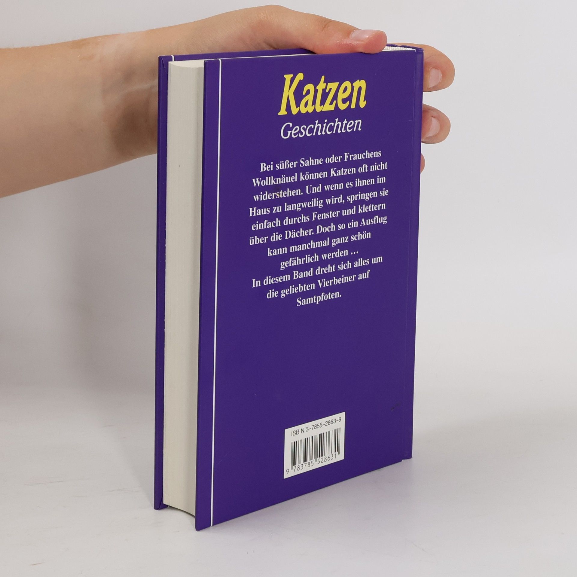 Katzengeschichten