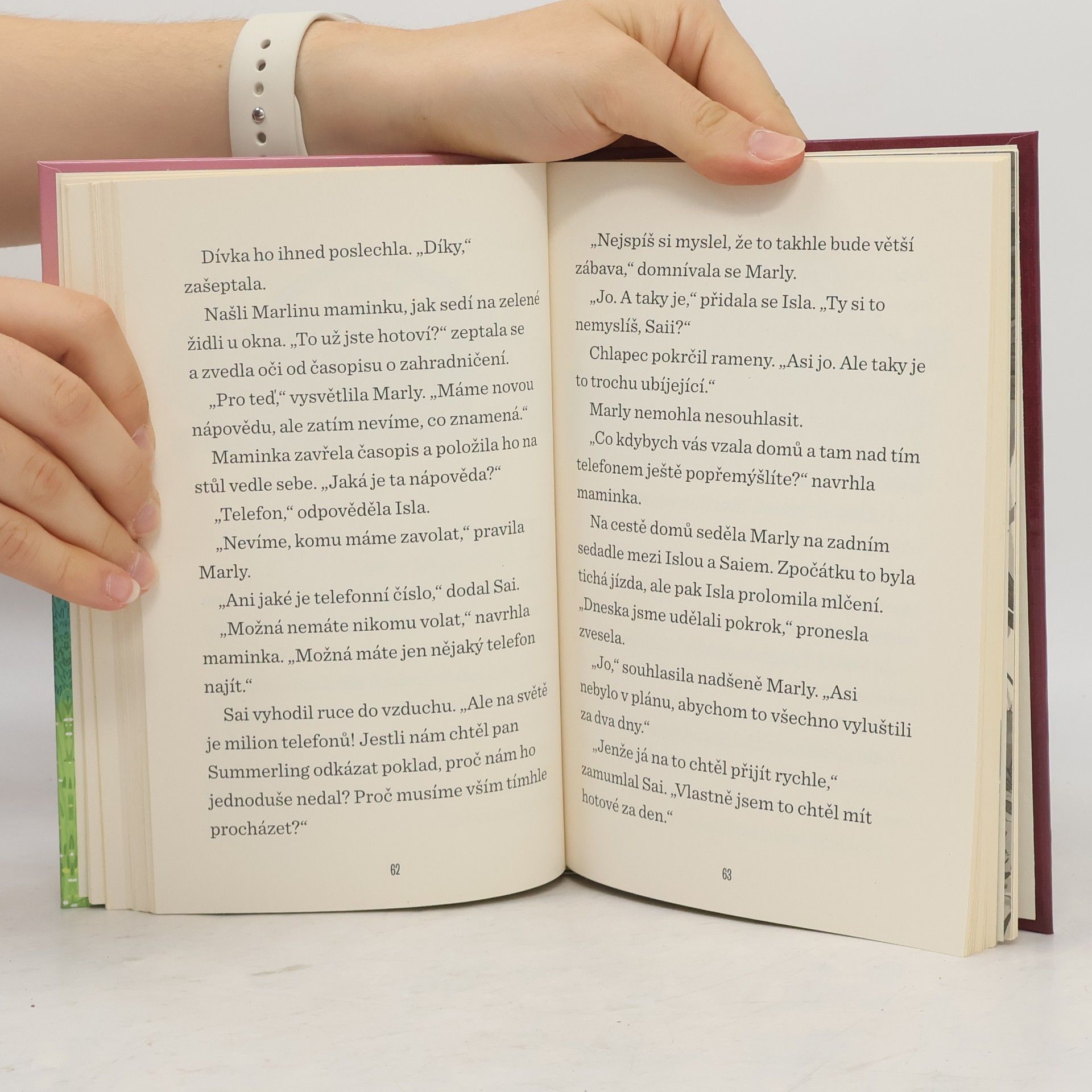 Dori Hillestad Butler Honba za pokladem. Tajemný odkaz