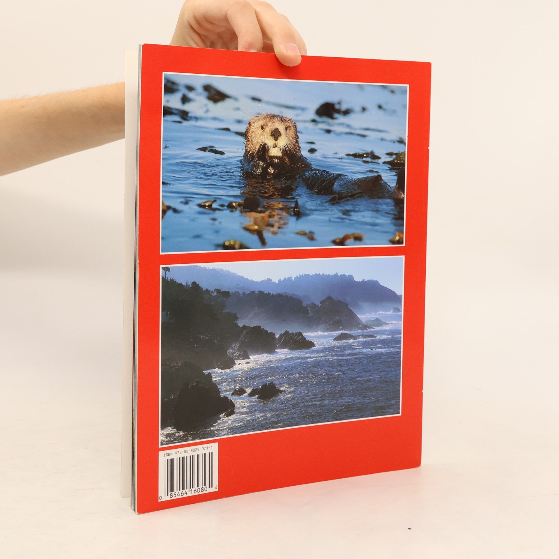 Andrea Pistolesi Monterey Peninsula - English Edition