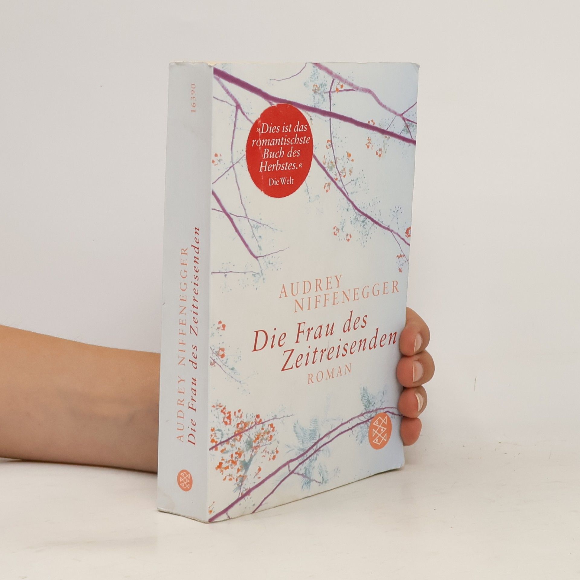 Audrey Niffenegger Die Frau des Zeitreisenden