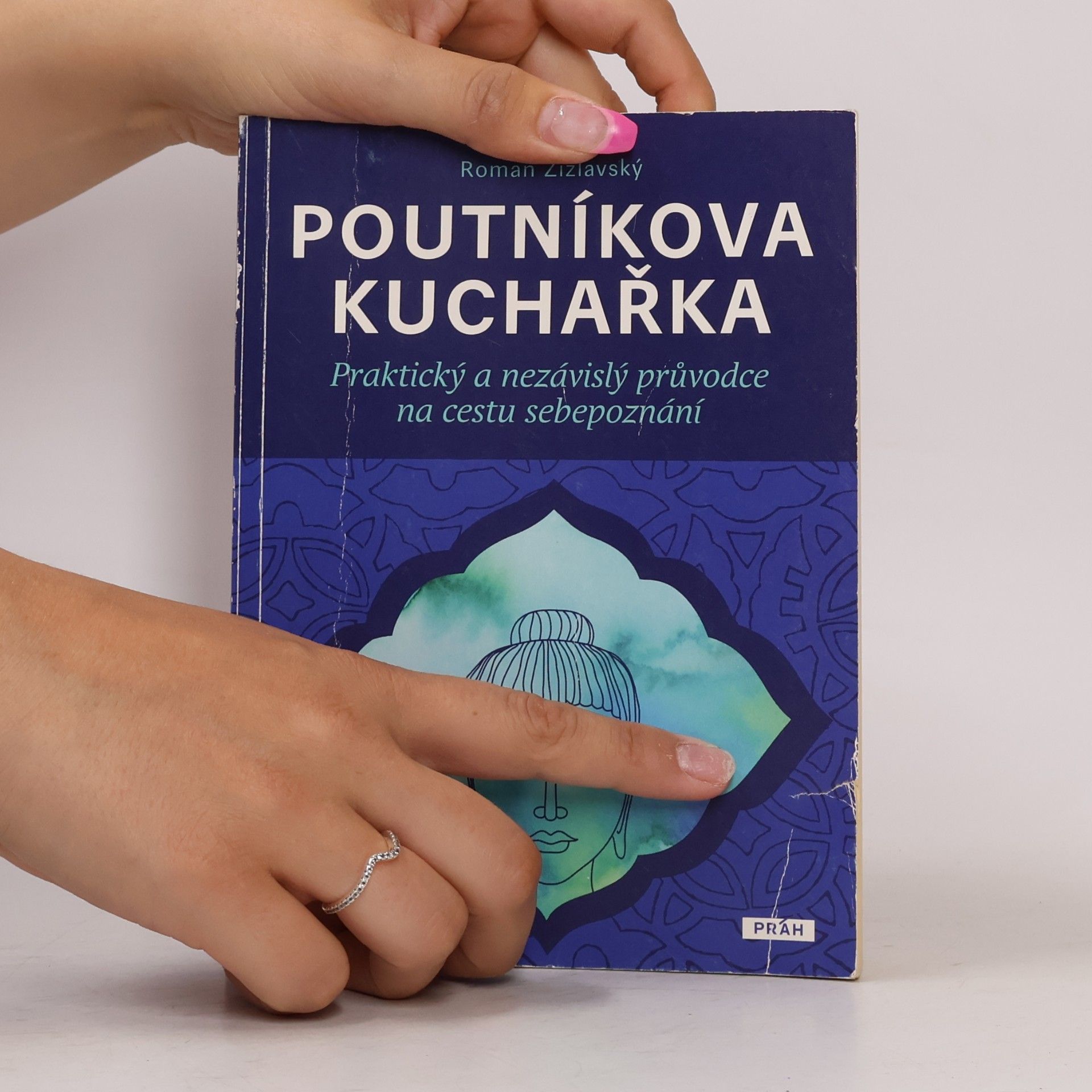 Roman Žižlavský Poutníkova kuchařka