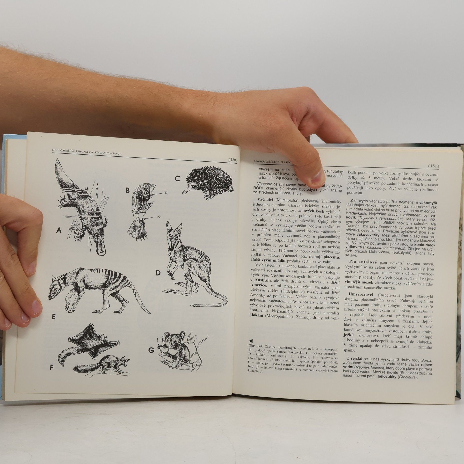 Miroslav Papáček Zoologie