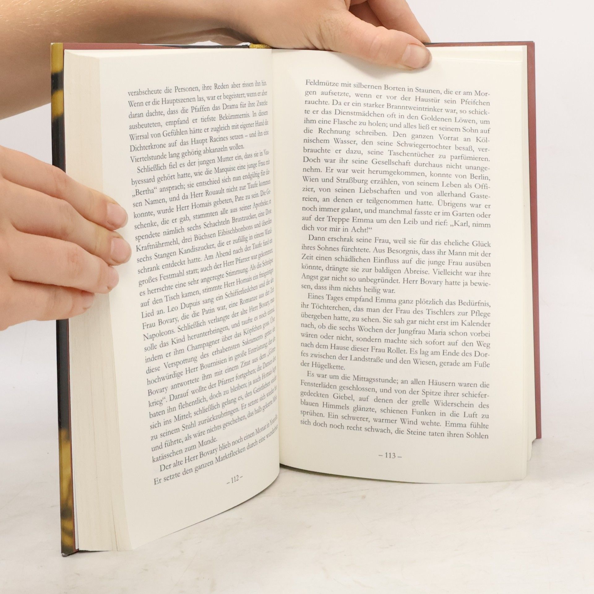 Gustave Flaubert Madame Bovary