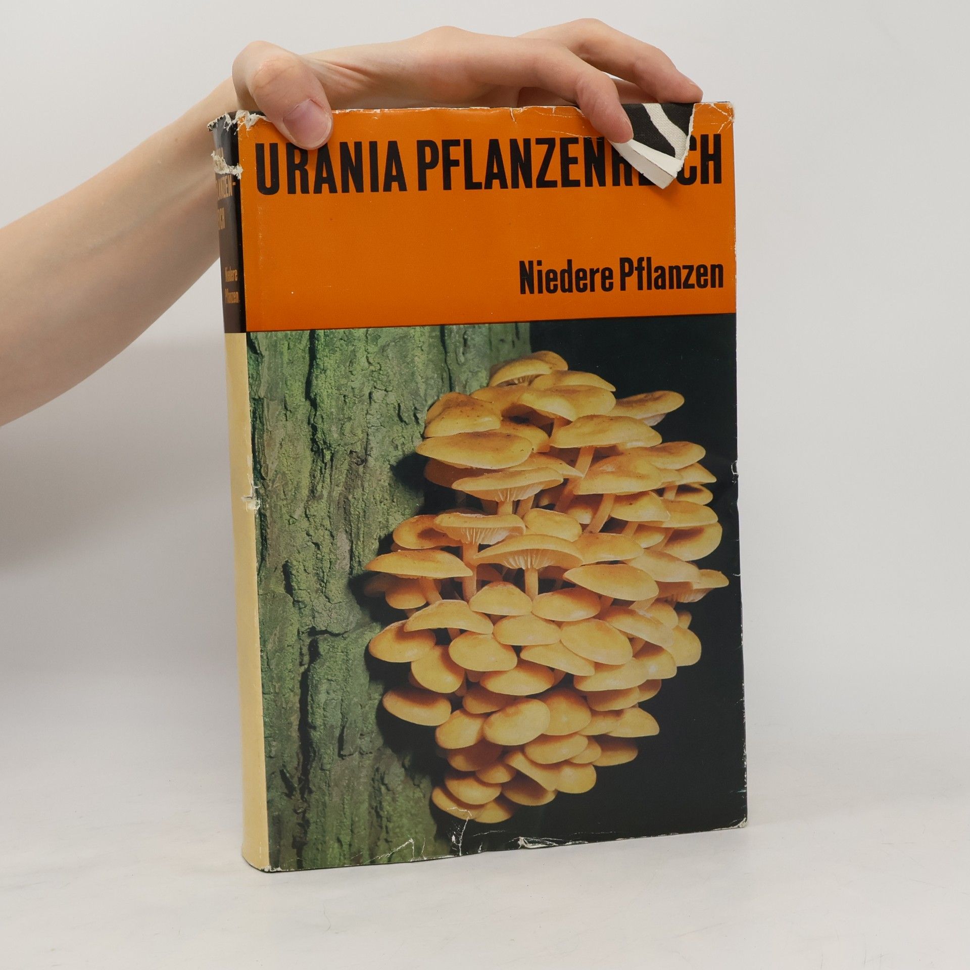 AA.VV. Urania Pflanzenreich: Niedere Pflanzen