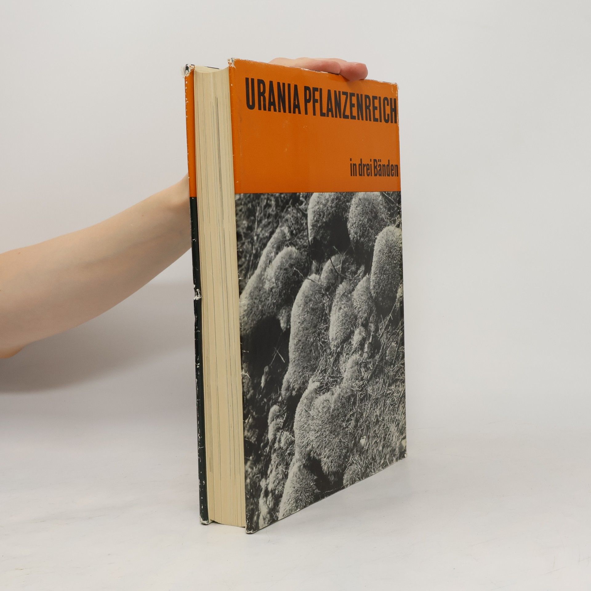 AA.VV. Urania Pflanzenreich: Niedere Pflanzen