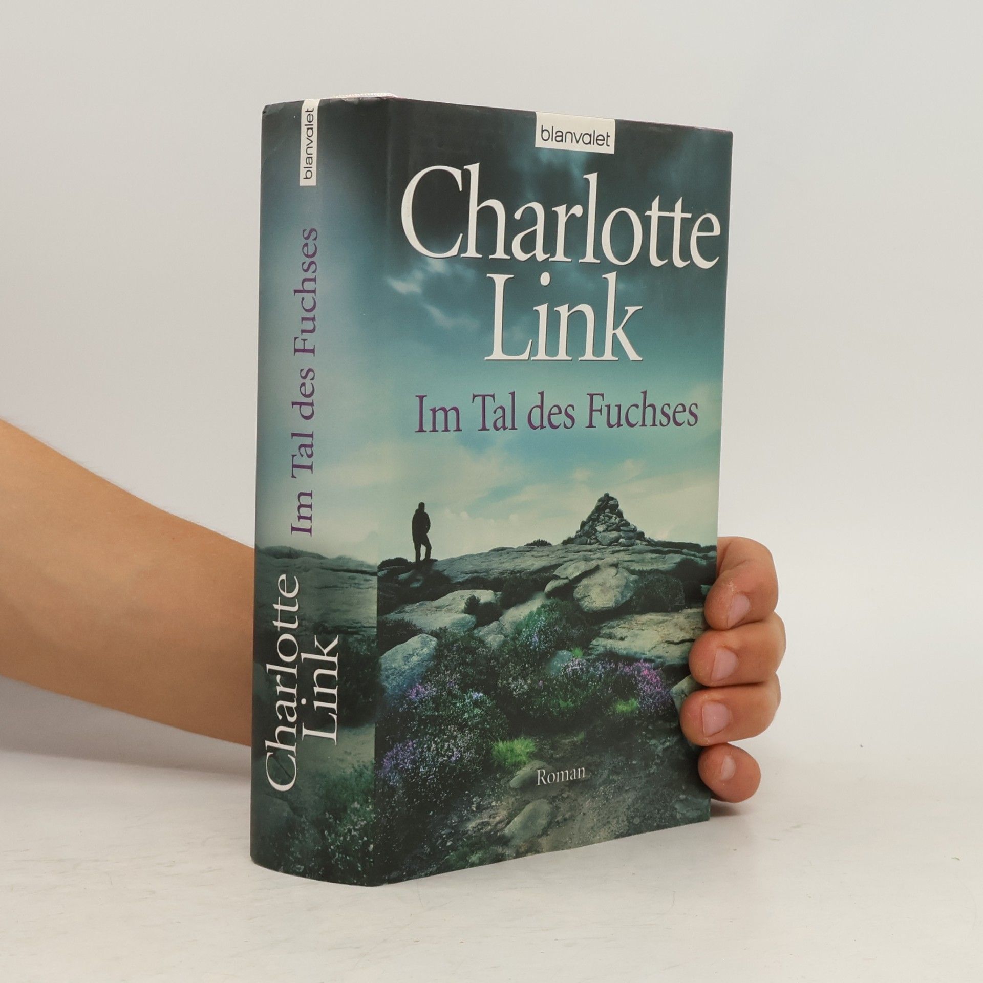 Charlotte Link Im Tal des Fuchses