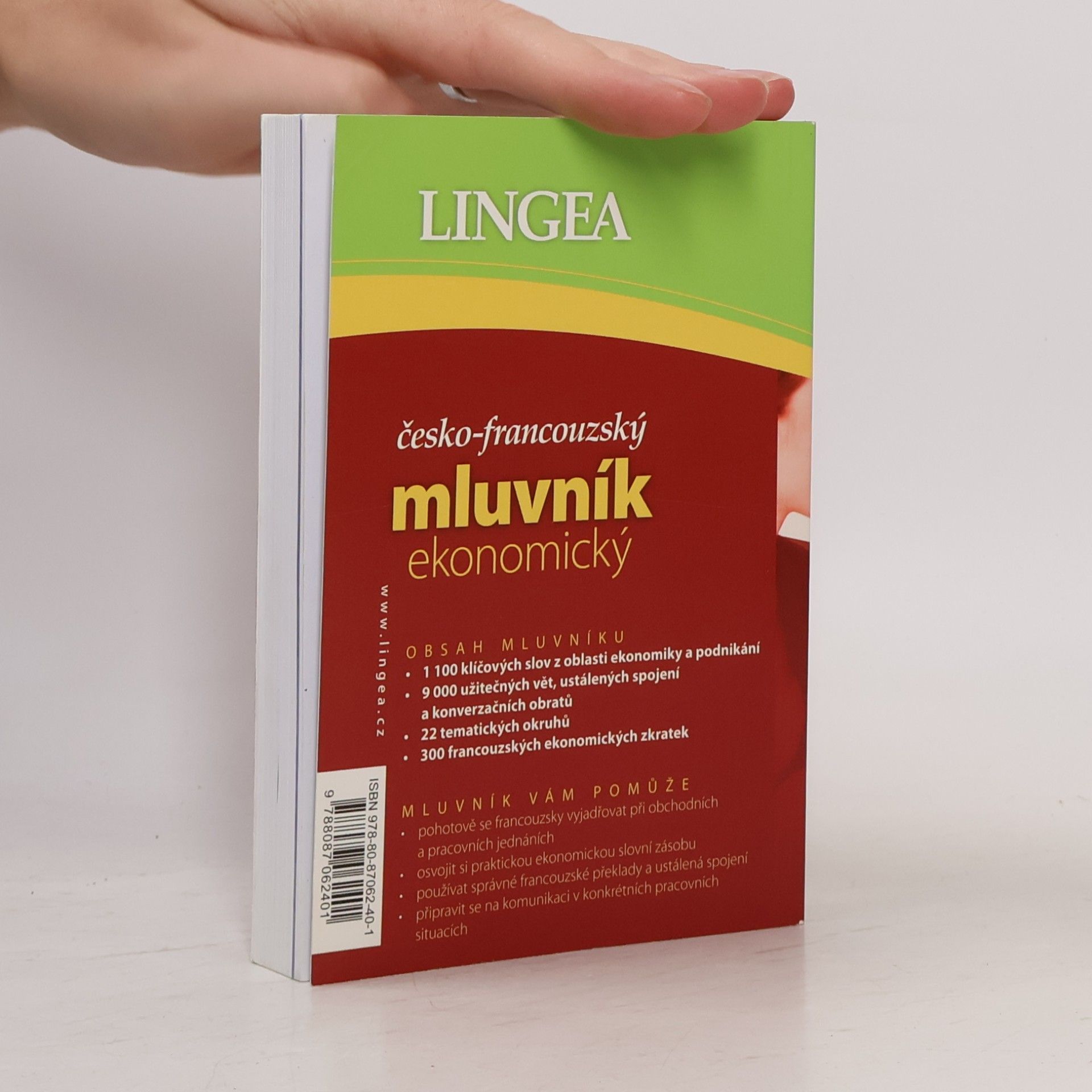 Autorenkollektiv Česko-francouzský mluvník ekonomický