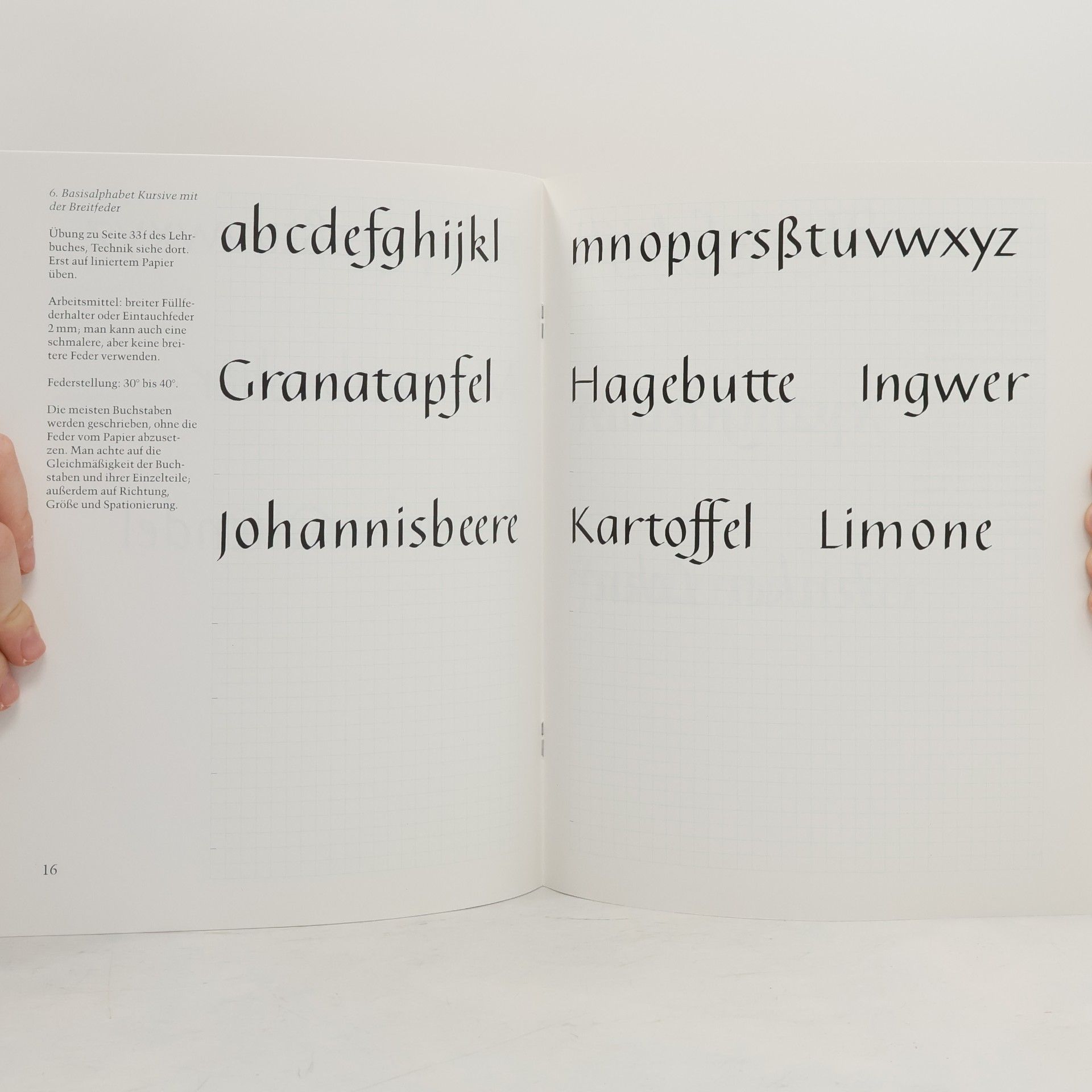 Julius de Goede Kalligraphie für Einsteiger