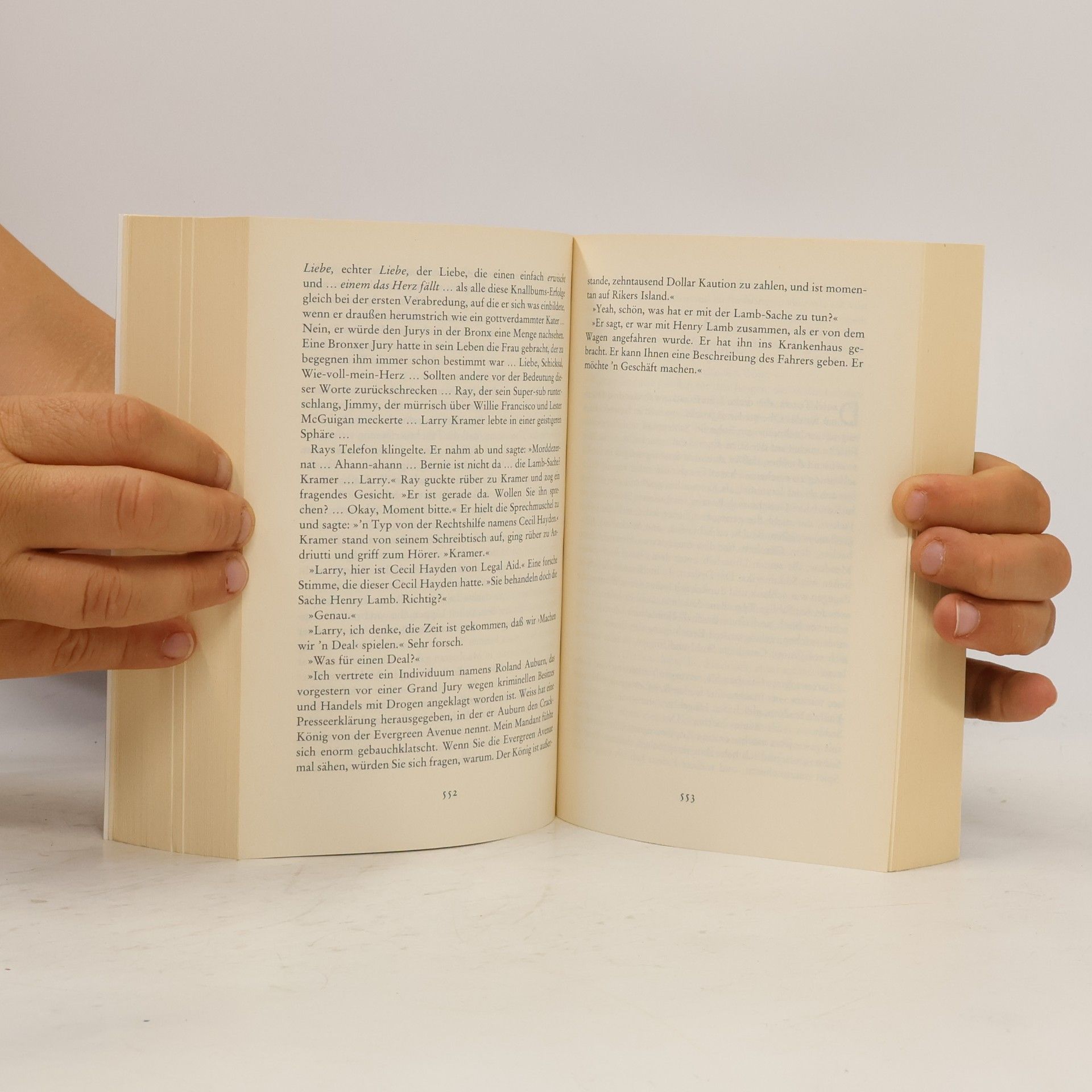 Tom Wolfe Fegefeuer der Eitelkeiten