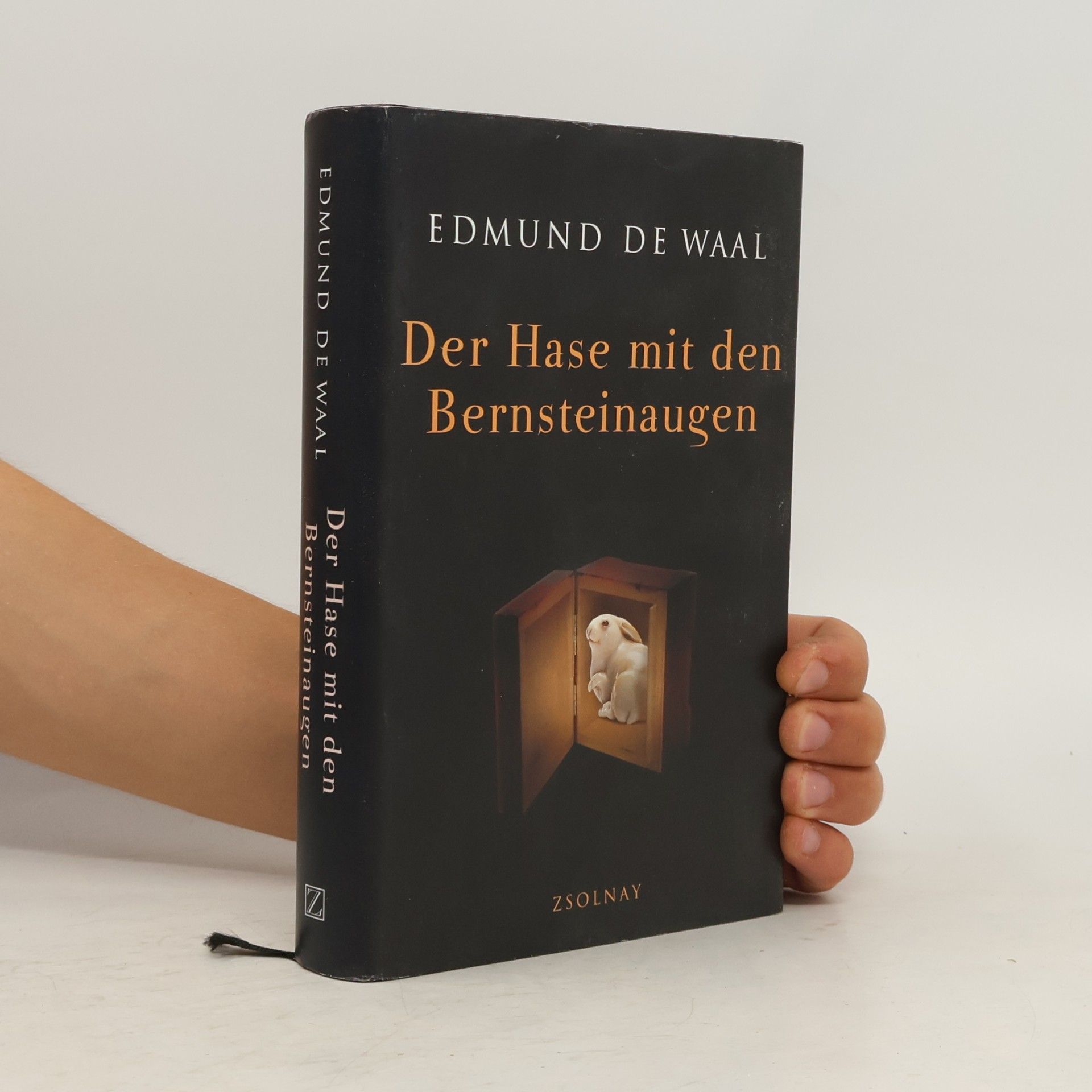 Edmund de Waal Der Hase mit den Bernteinaugen