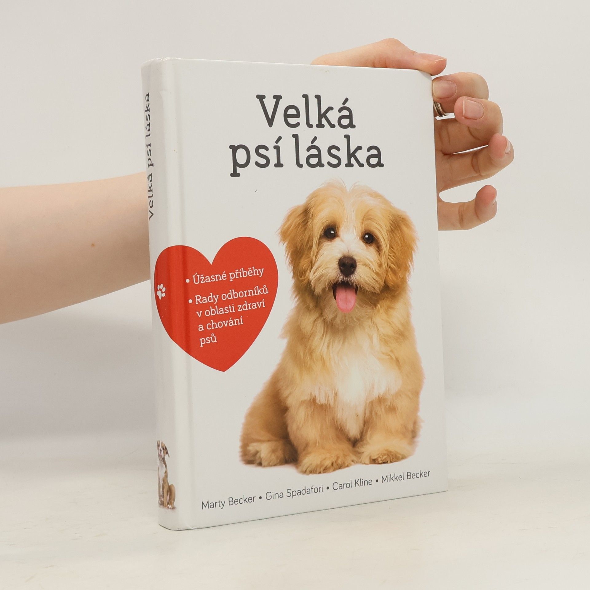 Velká psí láska: Příběhy, rady a úžasné fotografie psích bytostí