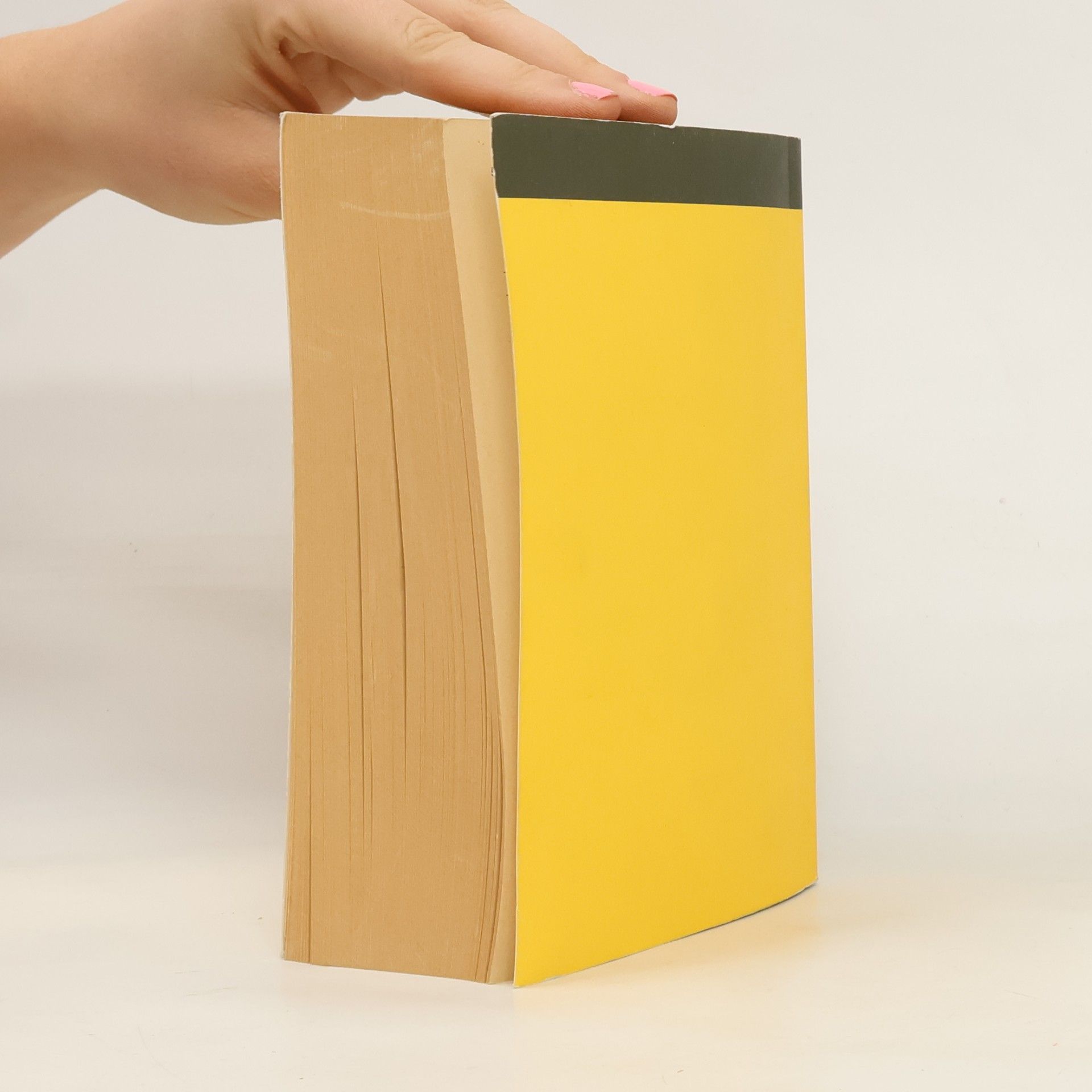 Heinrich Kraus Handbuch für den Arbeitnehmerschutz 1