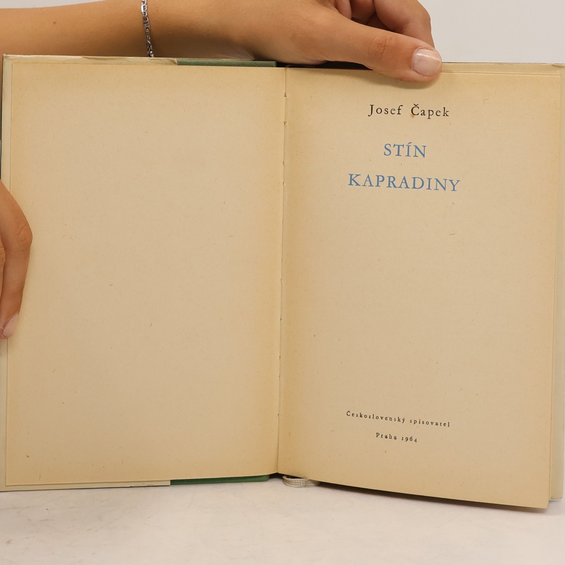 Josef Čapek Stín kapradiny