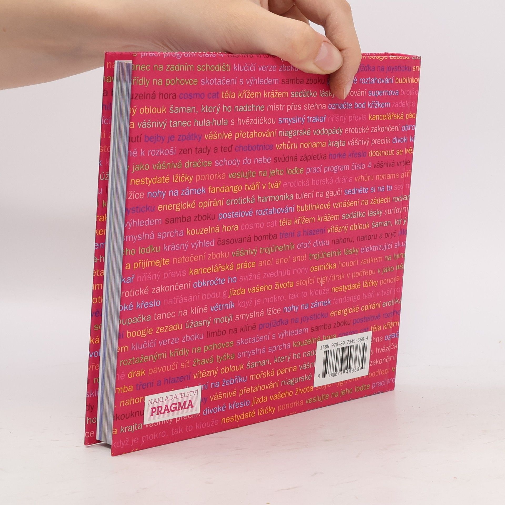 Autorenkollektiv Cosmo kamasutra