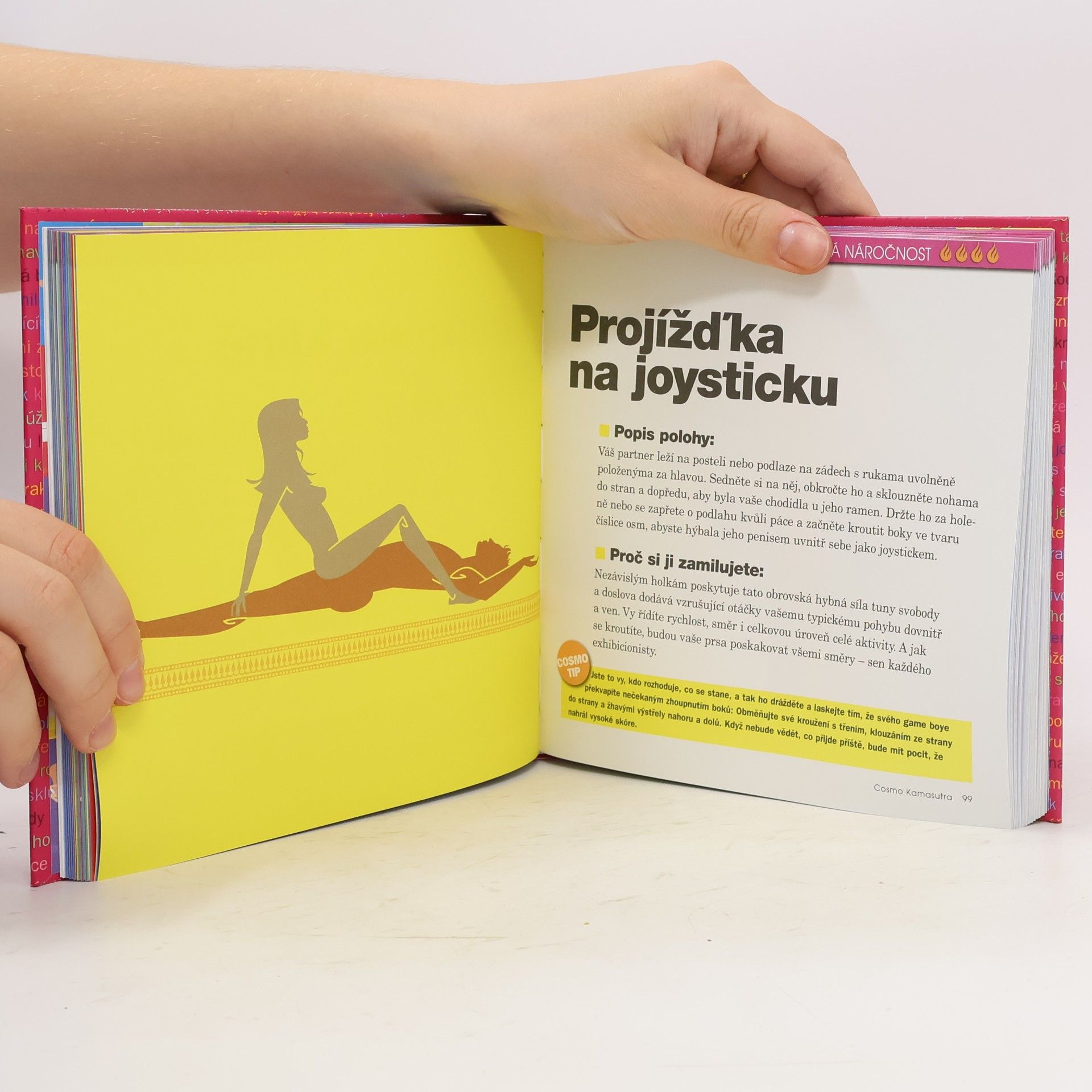 Autorenkollektiv Cosmo kamasutra