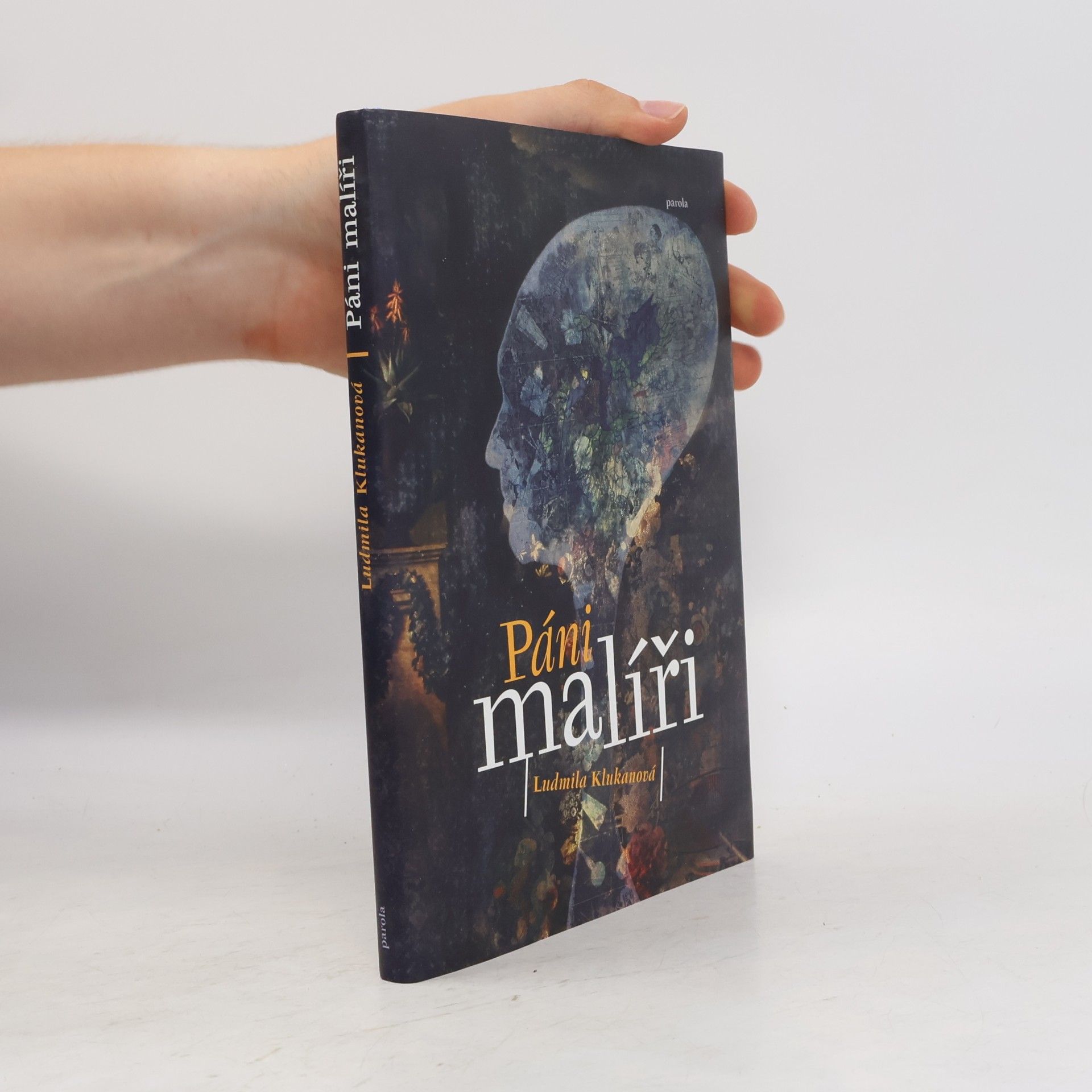 Ludmila Klukanová Páni malíři