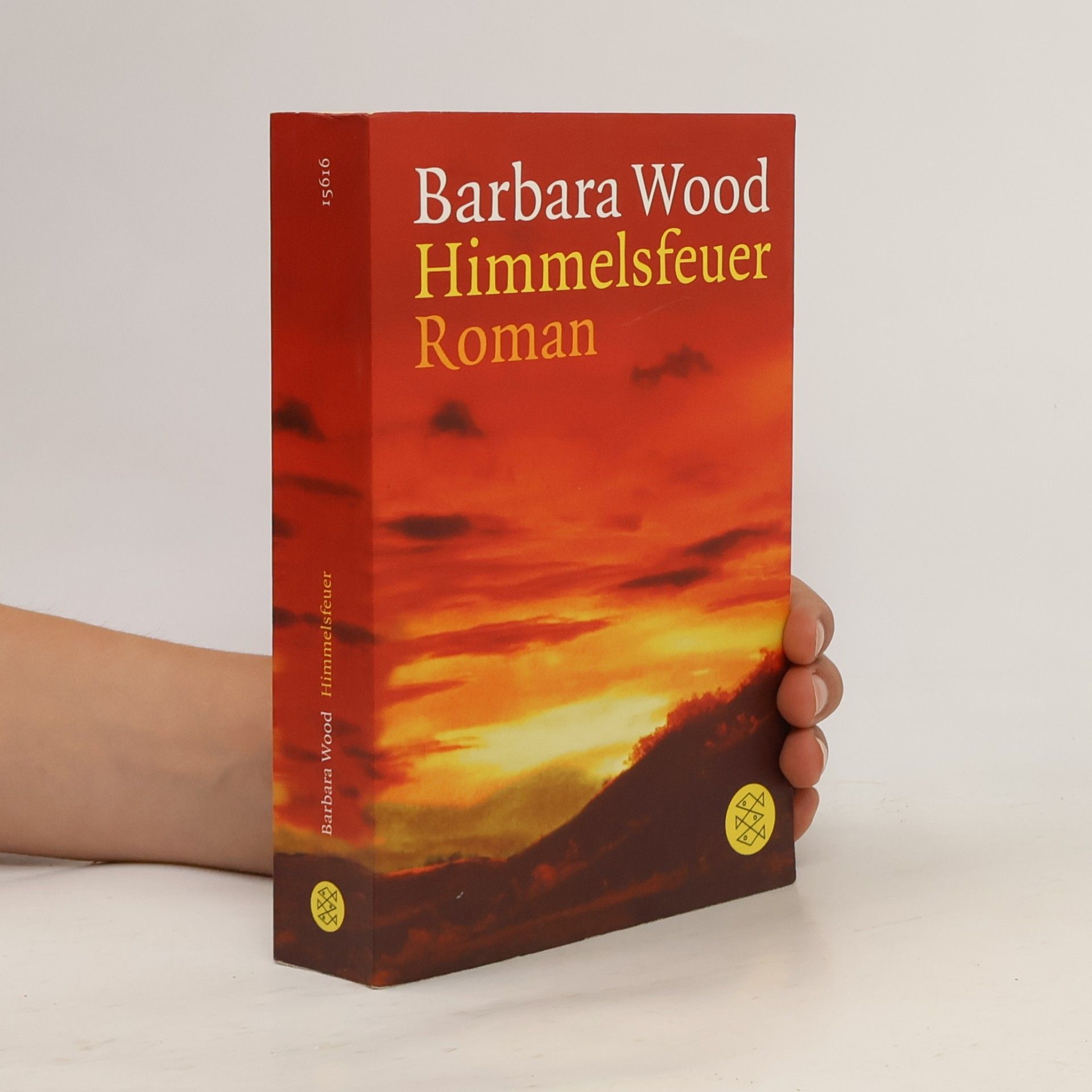 Barbara Wood Himmelsfeuer