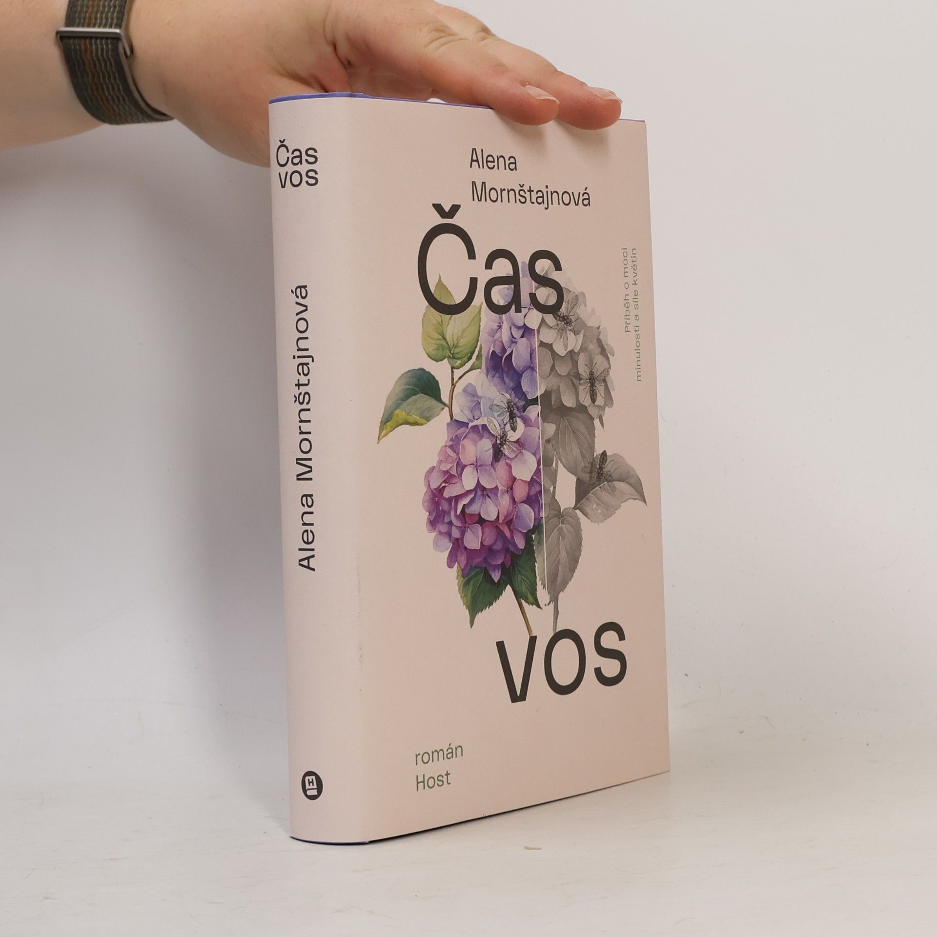 Alena Mornštajnová Čas vos
