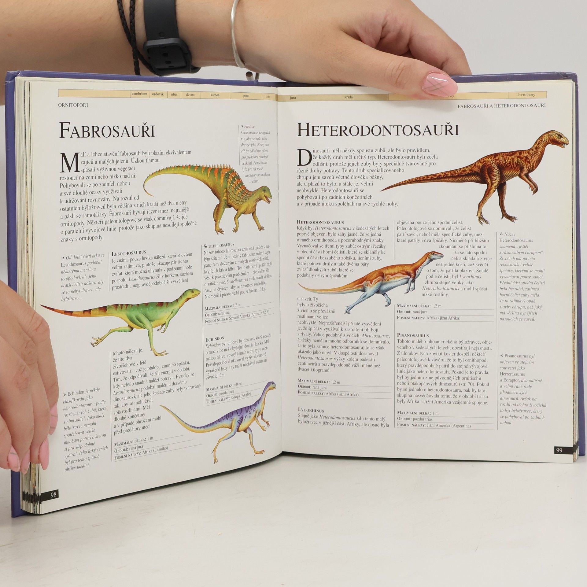 David Burnie Malá ilustrovaná školní encyklopedie. Dinosauři