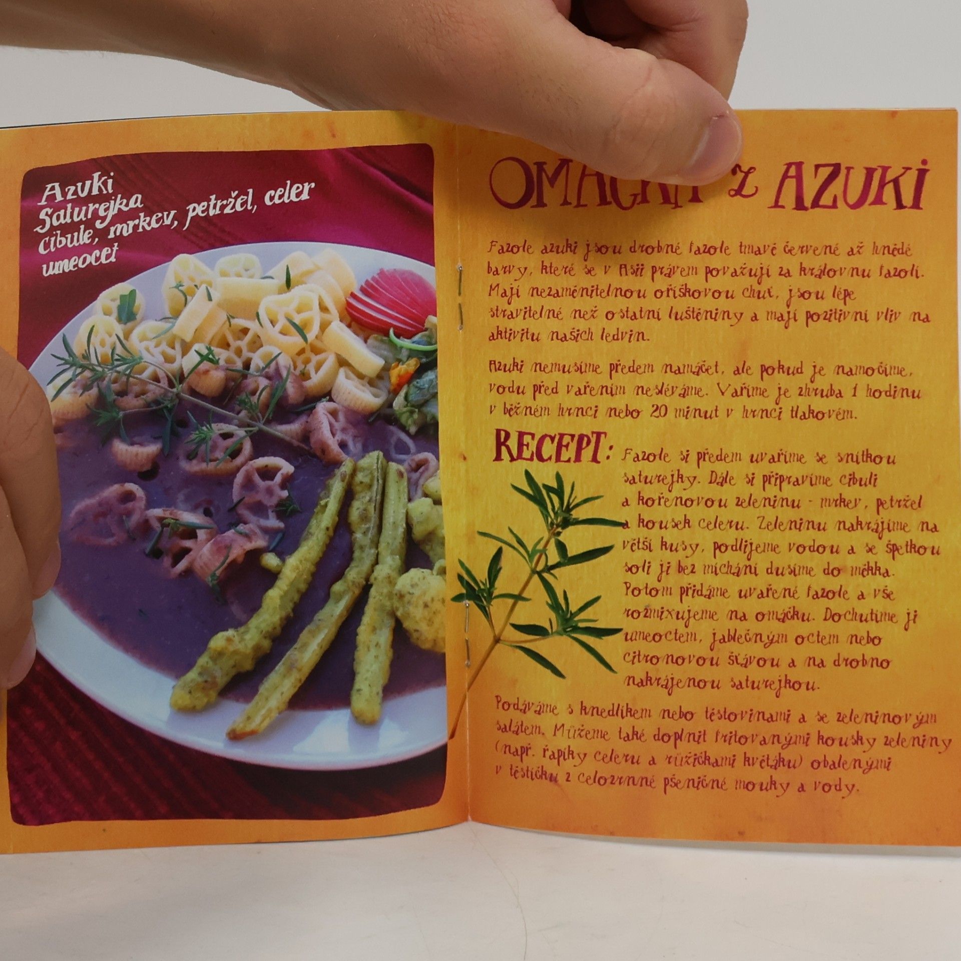 Kolektiv autorů Fazole