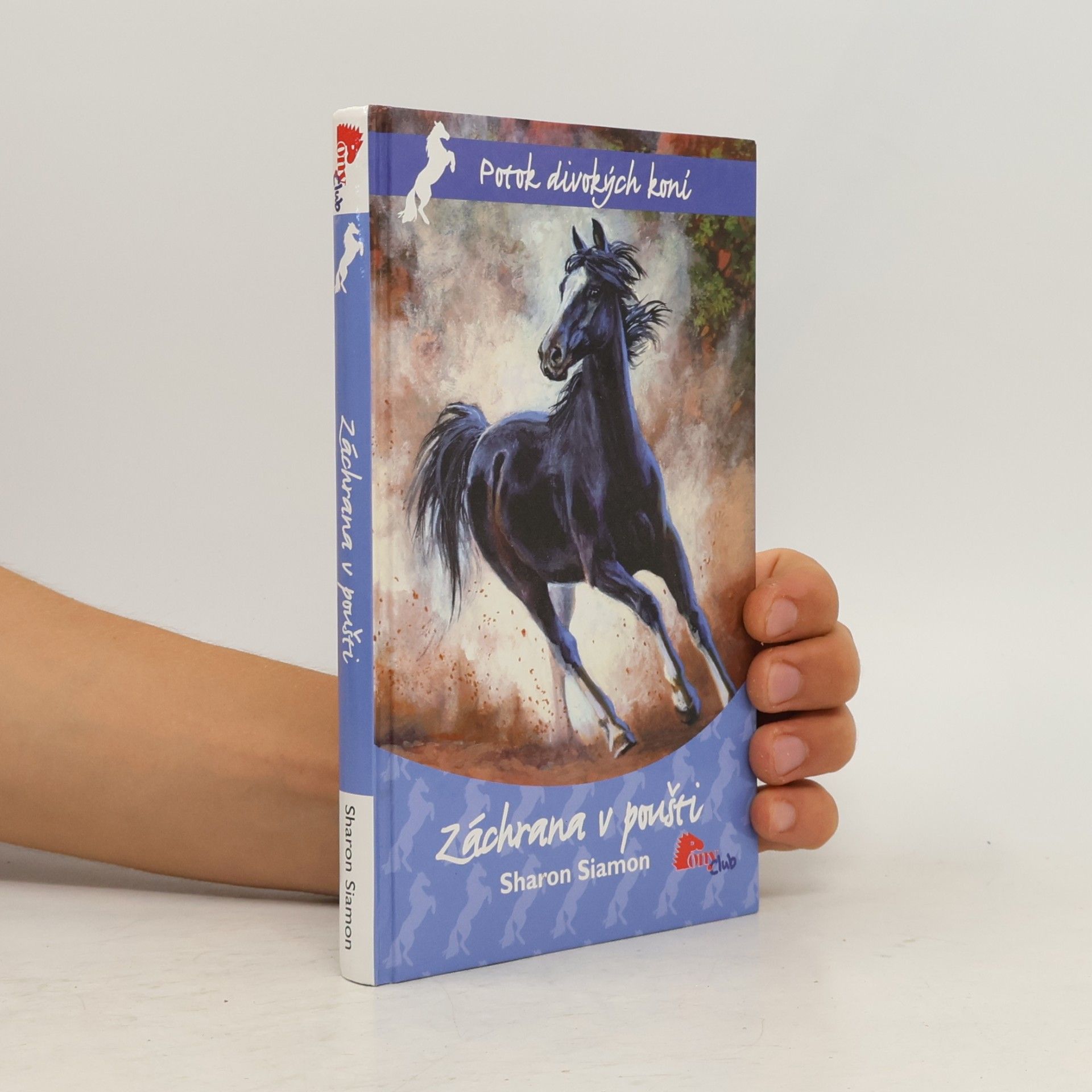 Záchrana v poušti