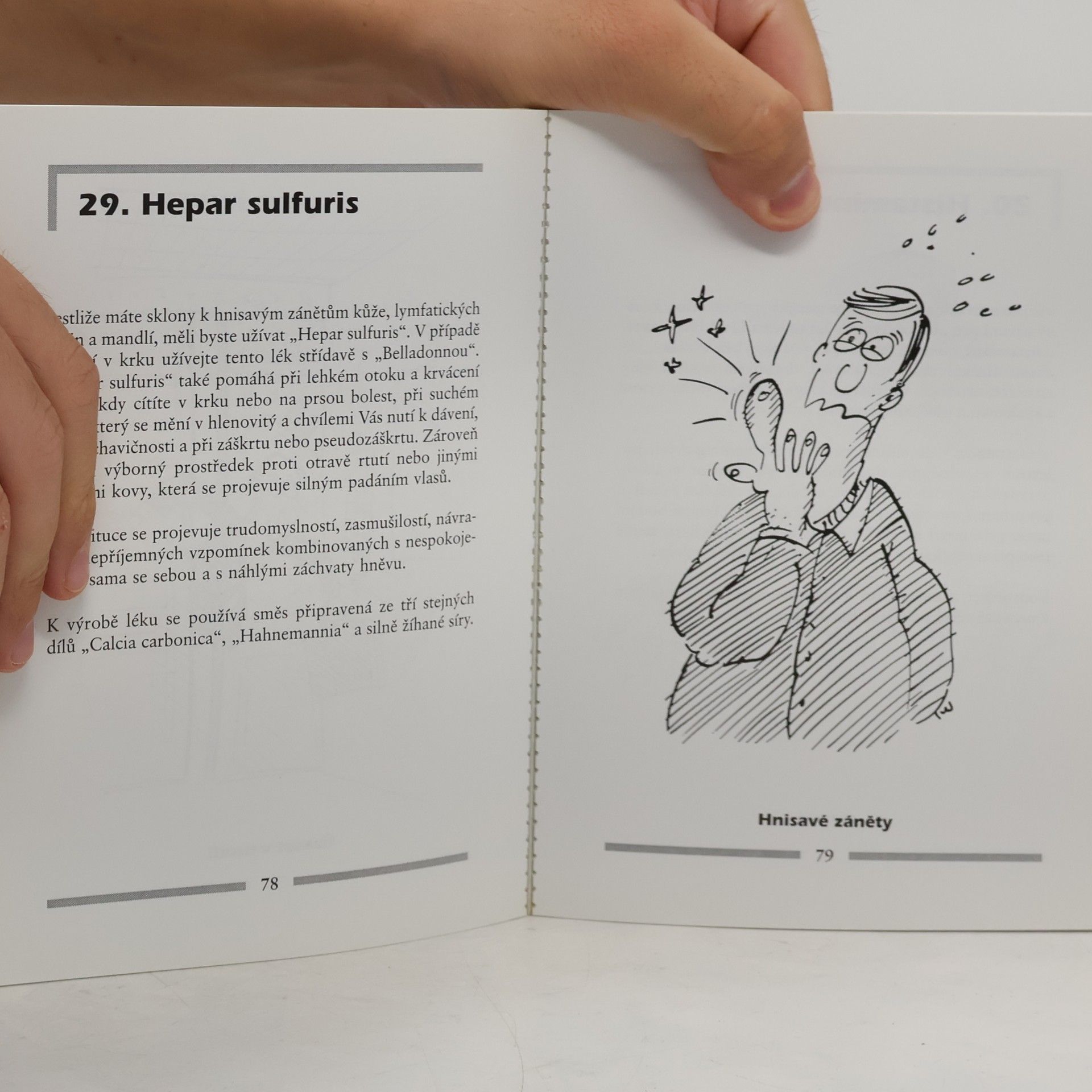 Vera Rosival Homeopatická domácí lékárna v obrazech