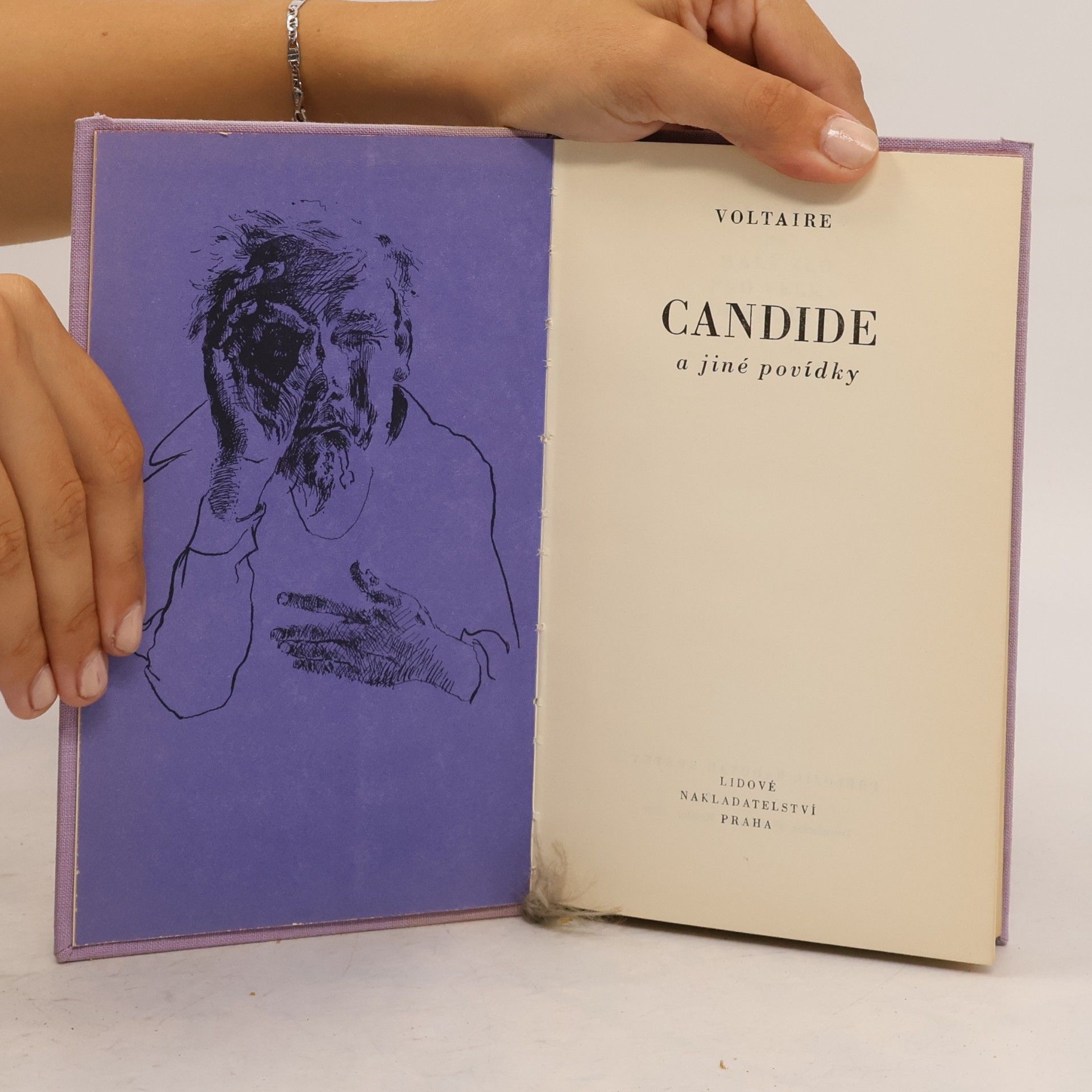 Voltaire Candidie a jiné povídky