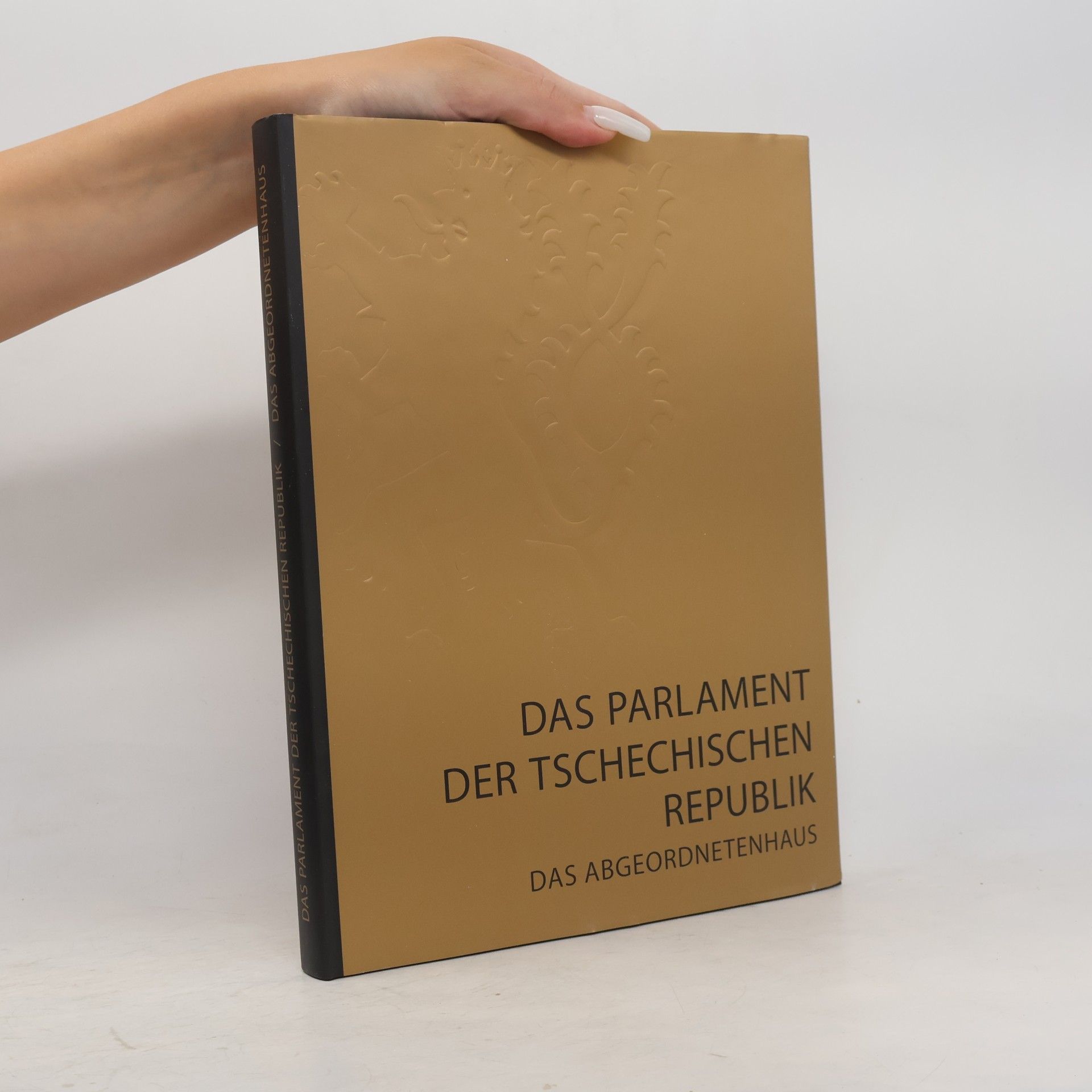 Kolektiv autorů Das Parlament der Tschechischen Republik - das Abgeordnetenhaus