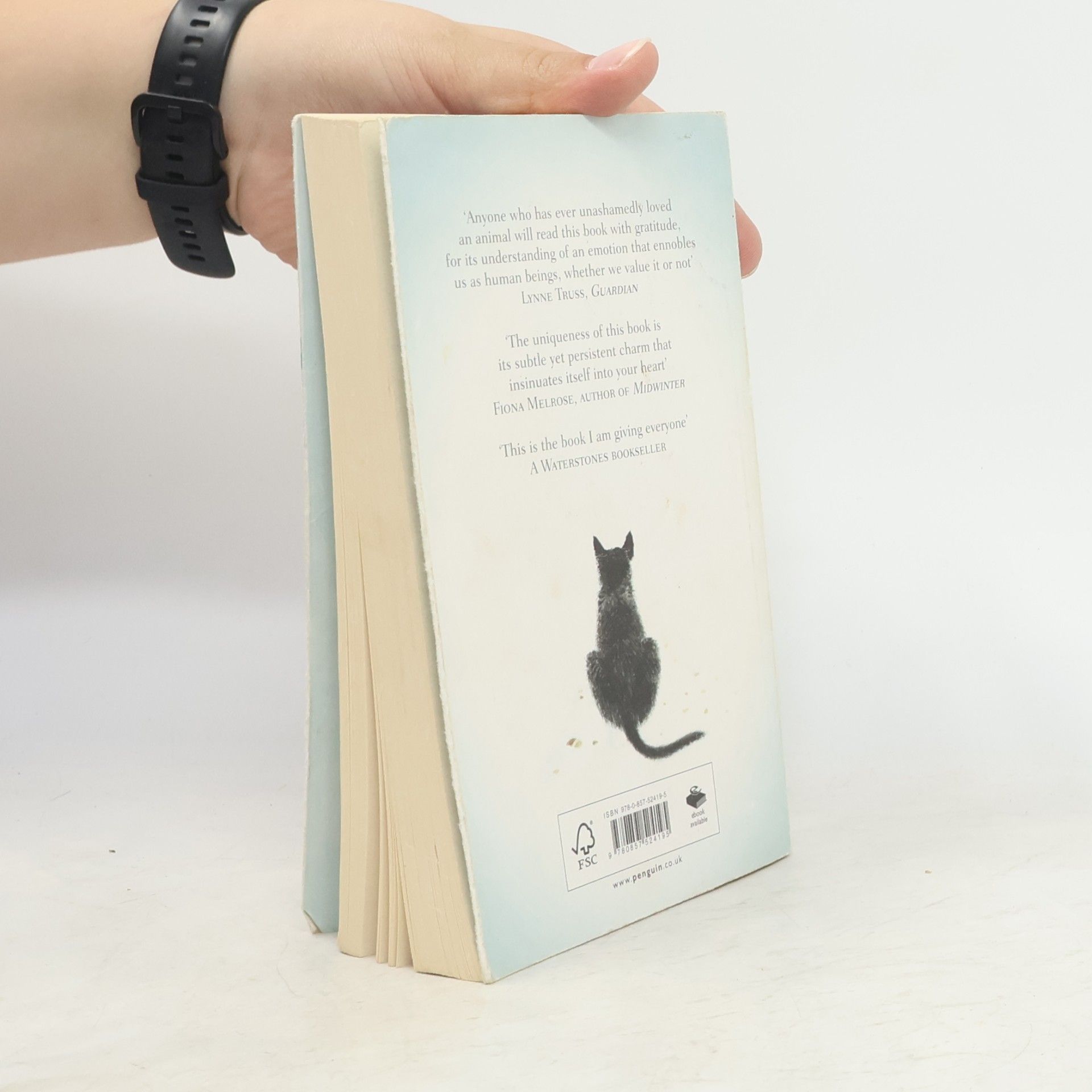Hiro Arikawa The travelling cat chronicles