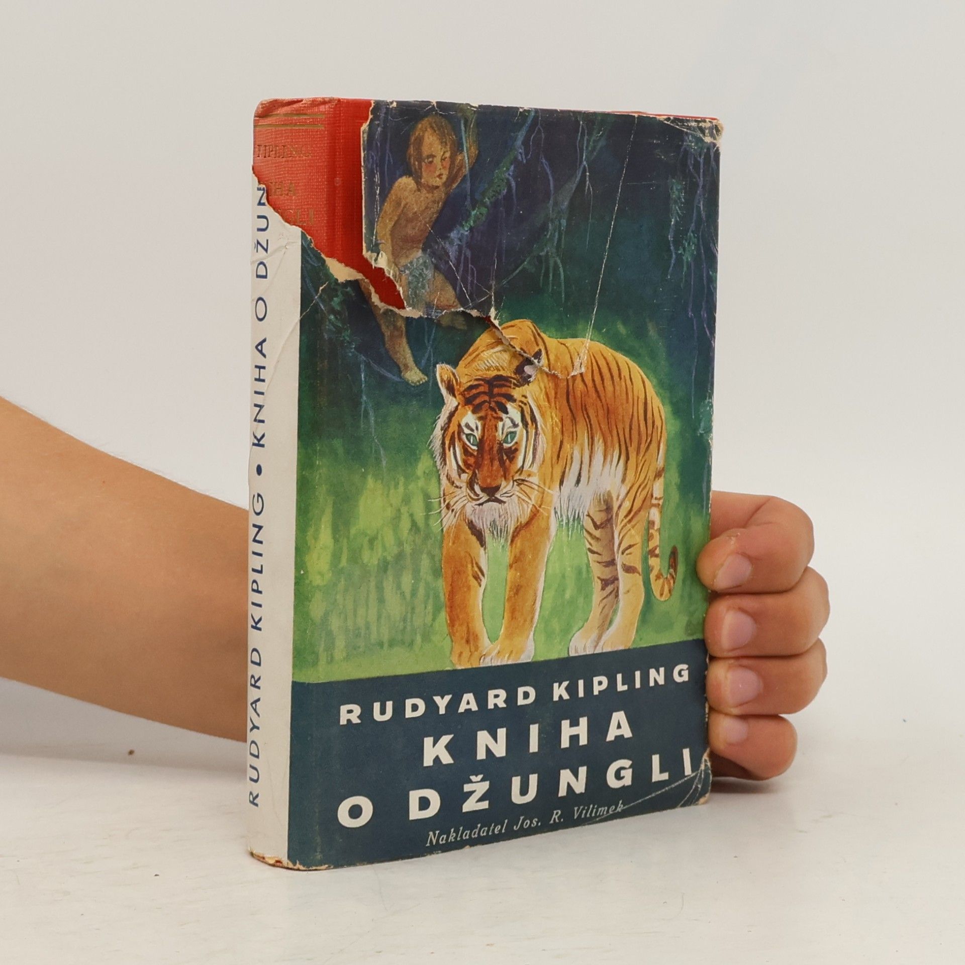 Kniha o džungli