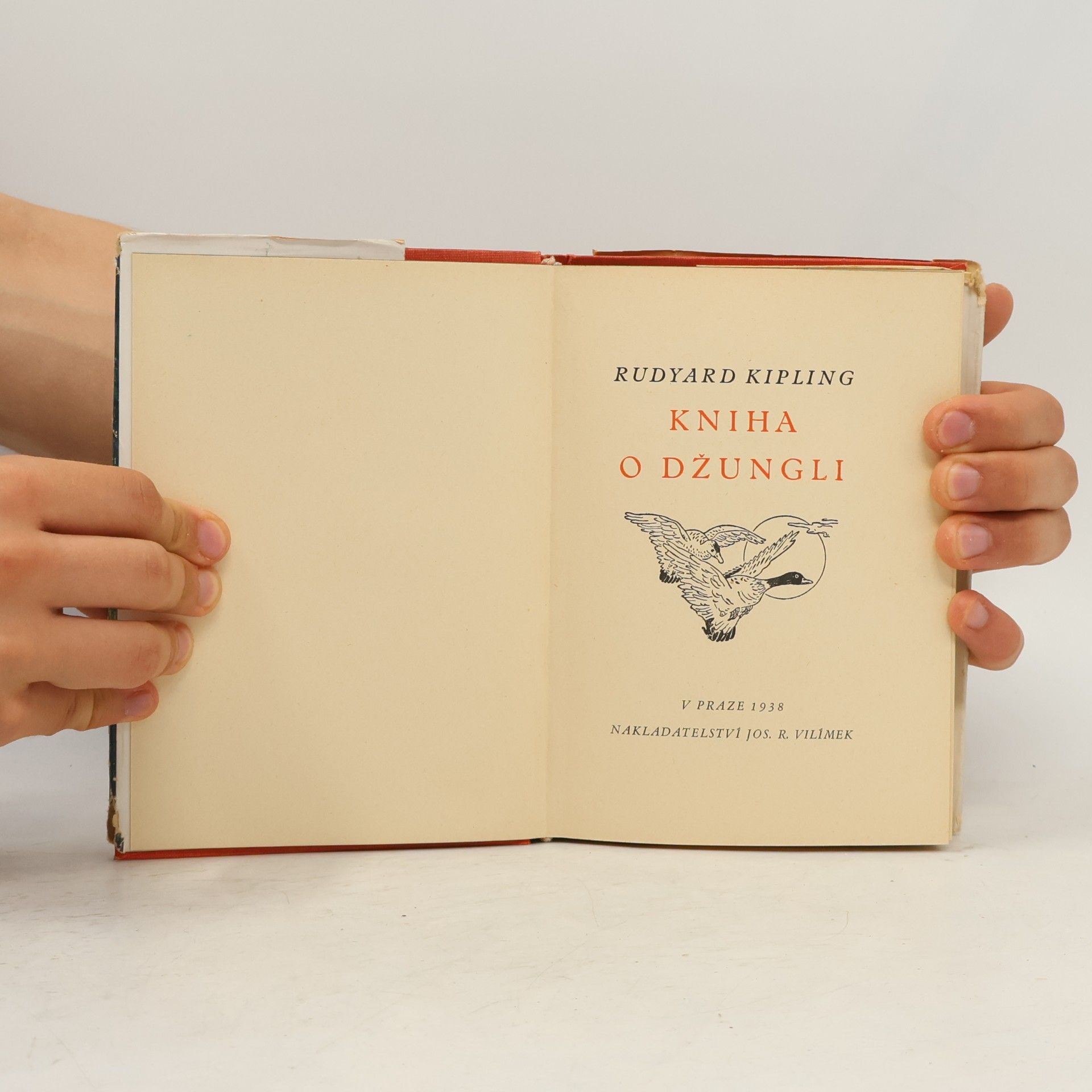 Rudyard Kipling Kniha o džungli