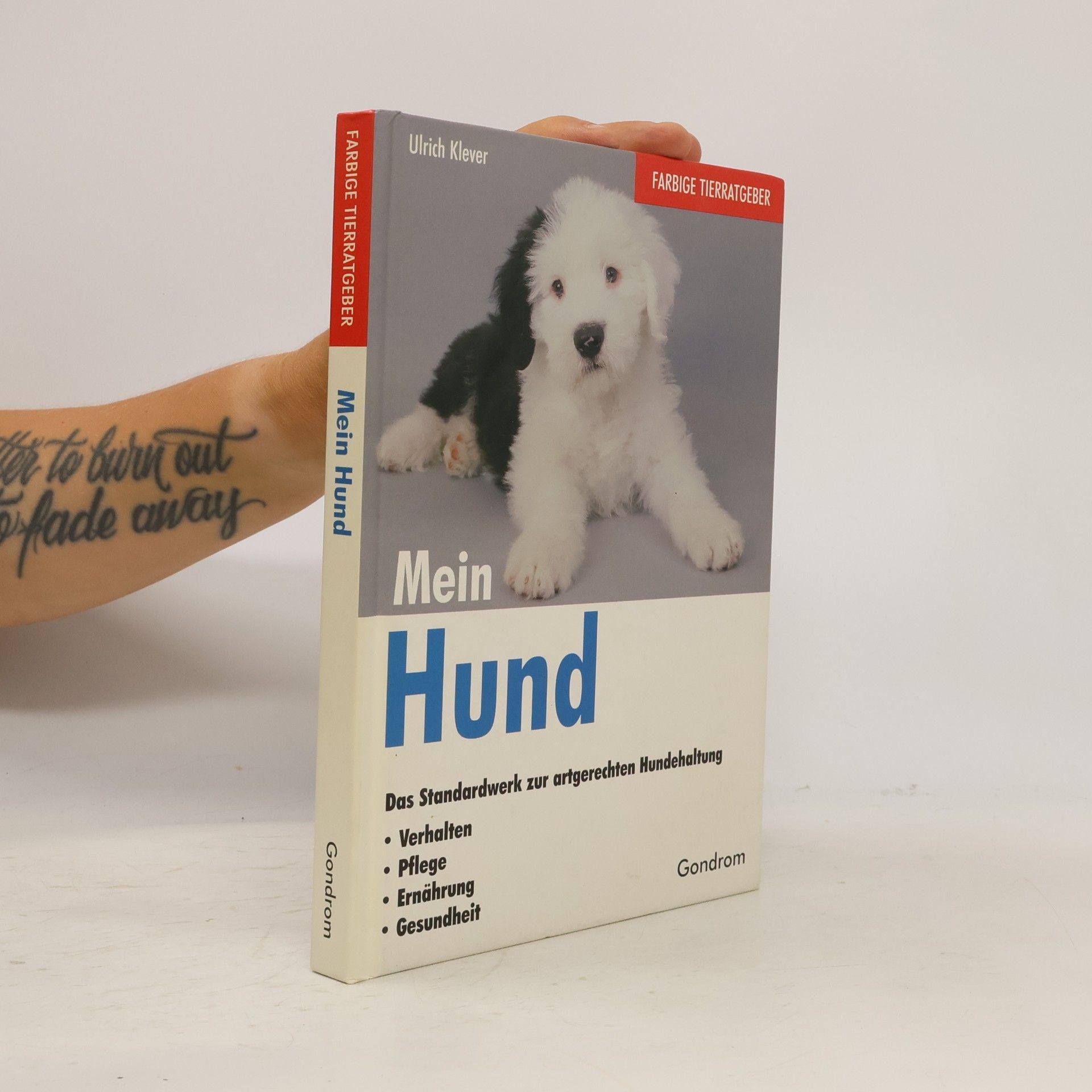 Ulrich Klever Mein Hund