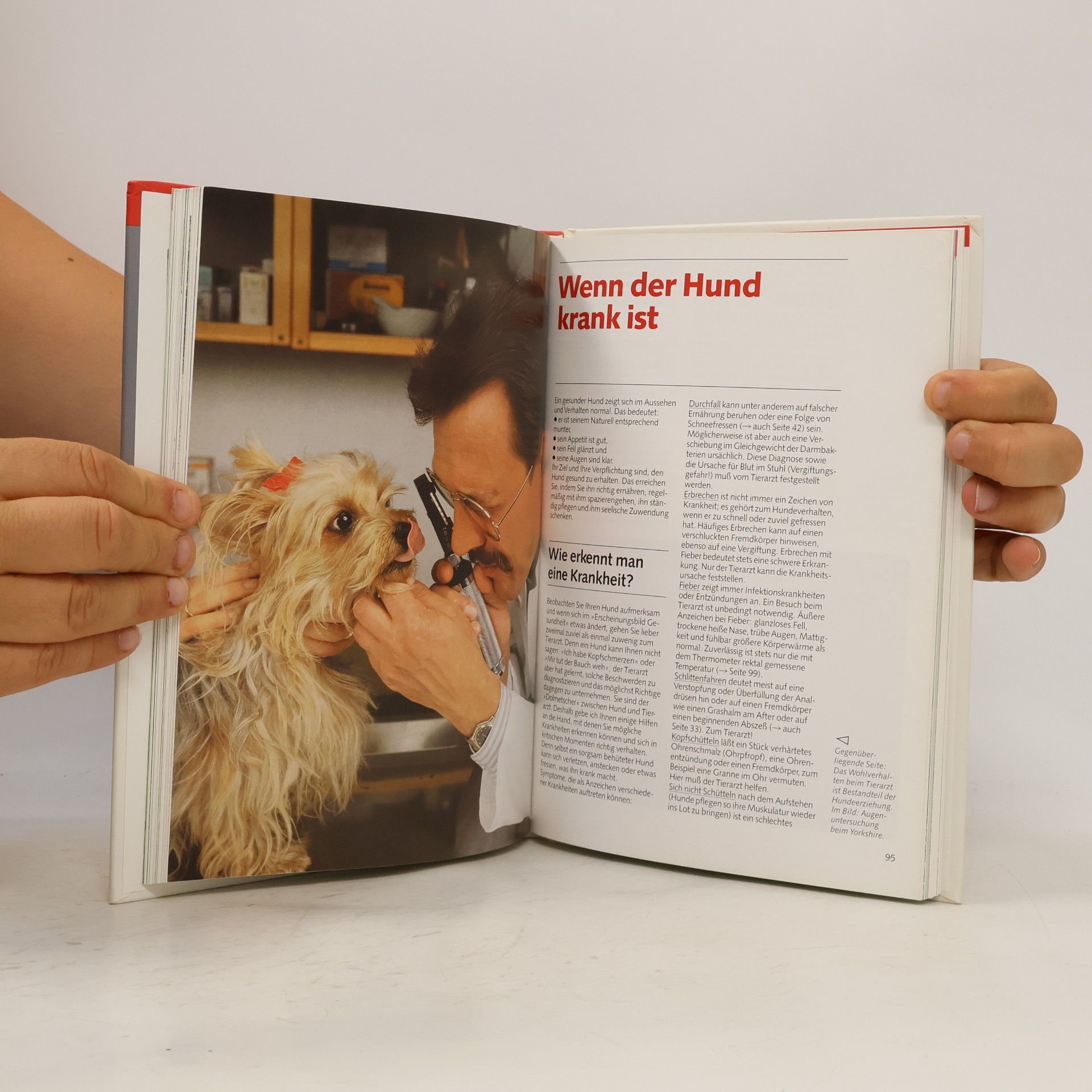 Ulrich Klever Mein Hund