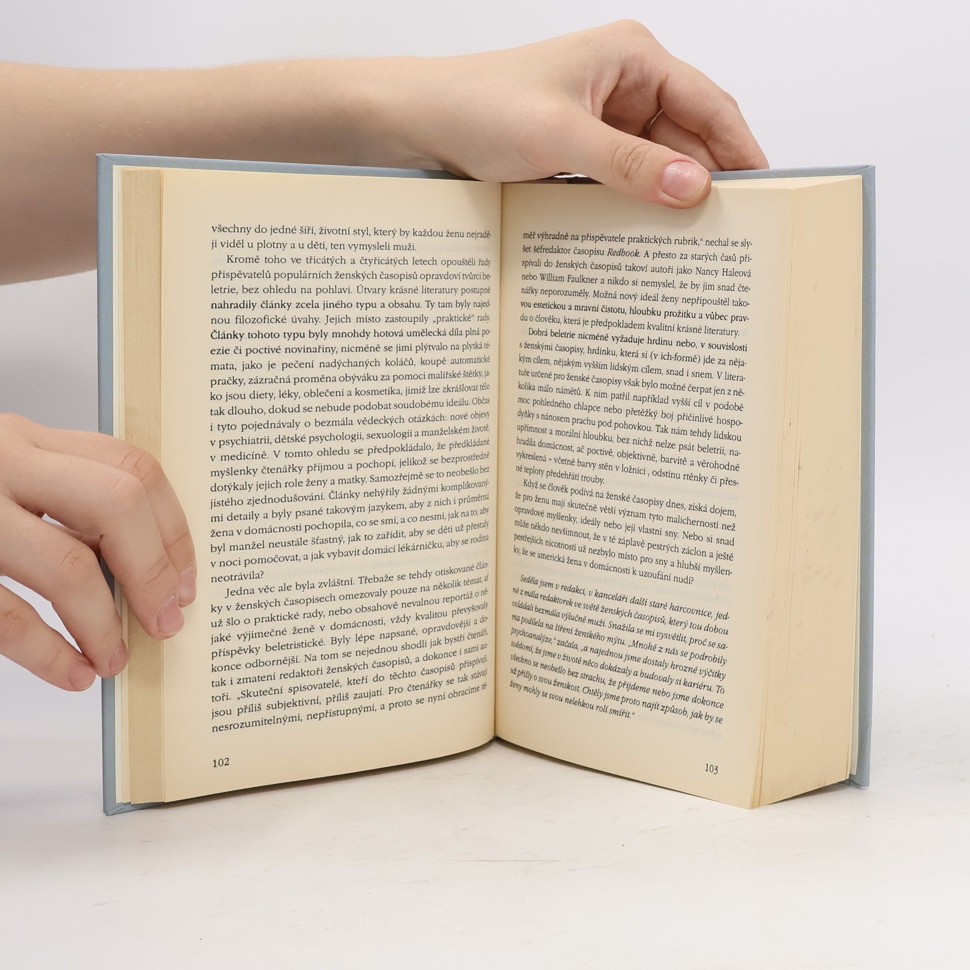 Betty Friedan Feminine mystique