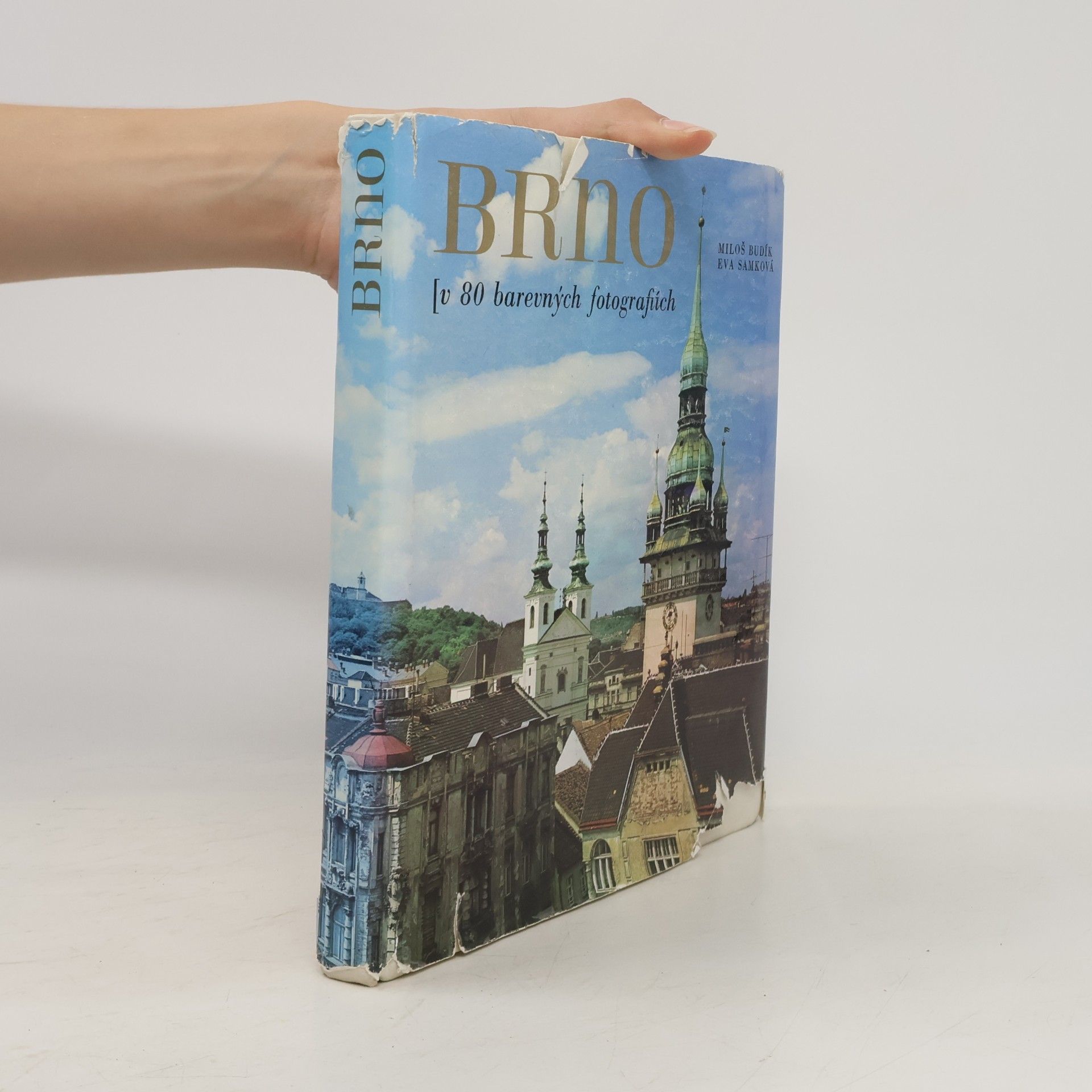 Miloš Budík Brno. V 80 barevných fotografiích
