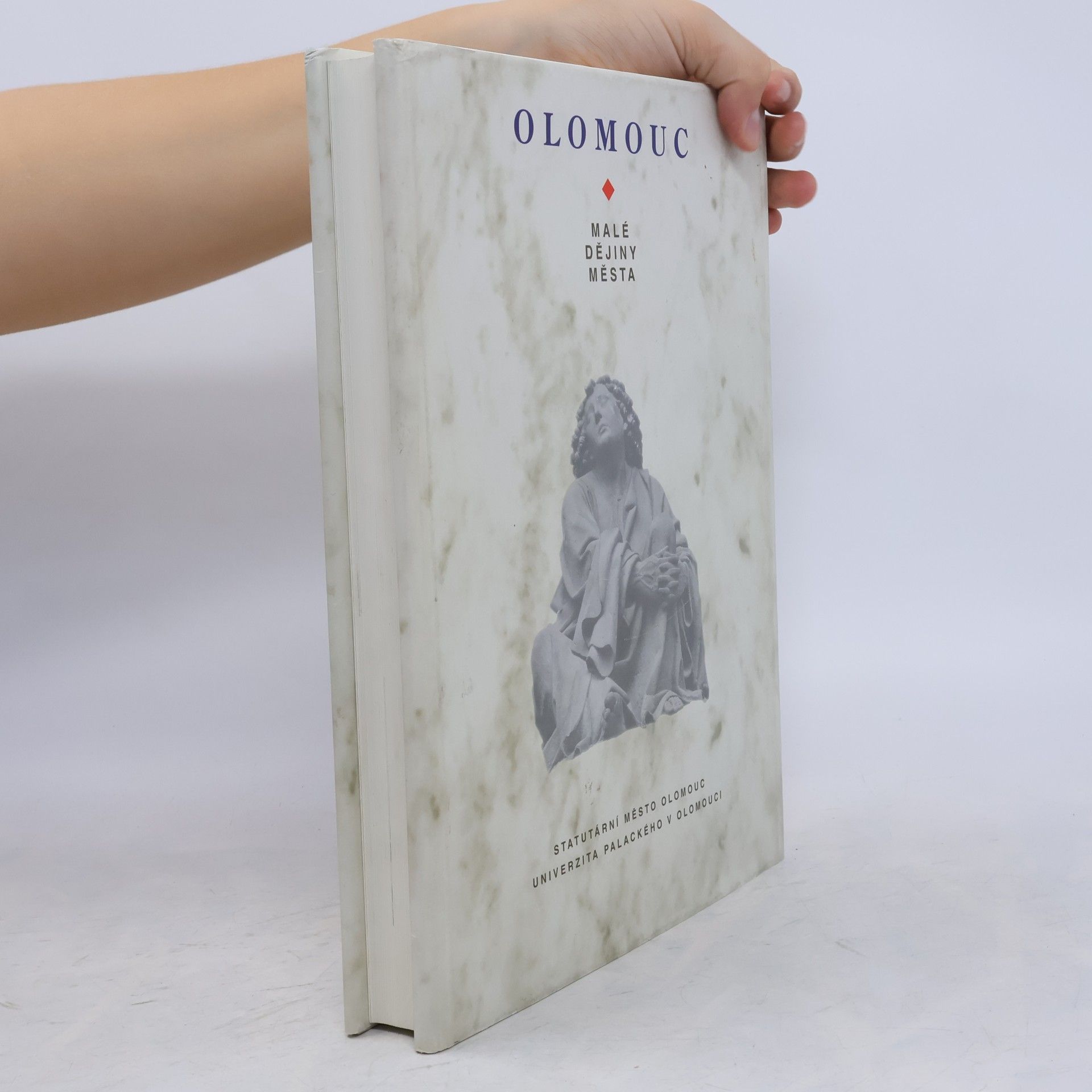 Autorenkollektiv Olomouc - Malé dějiny města