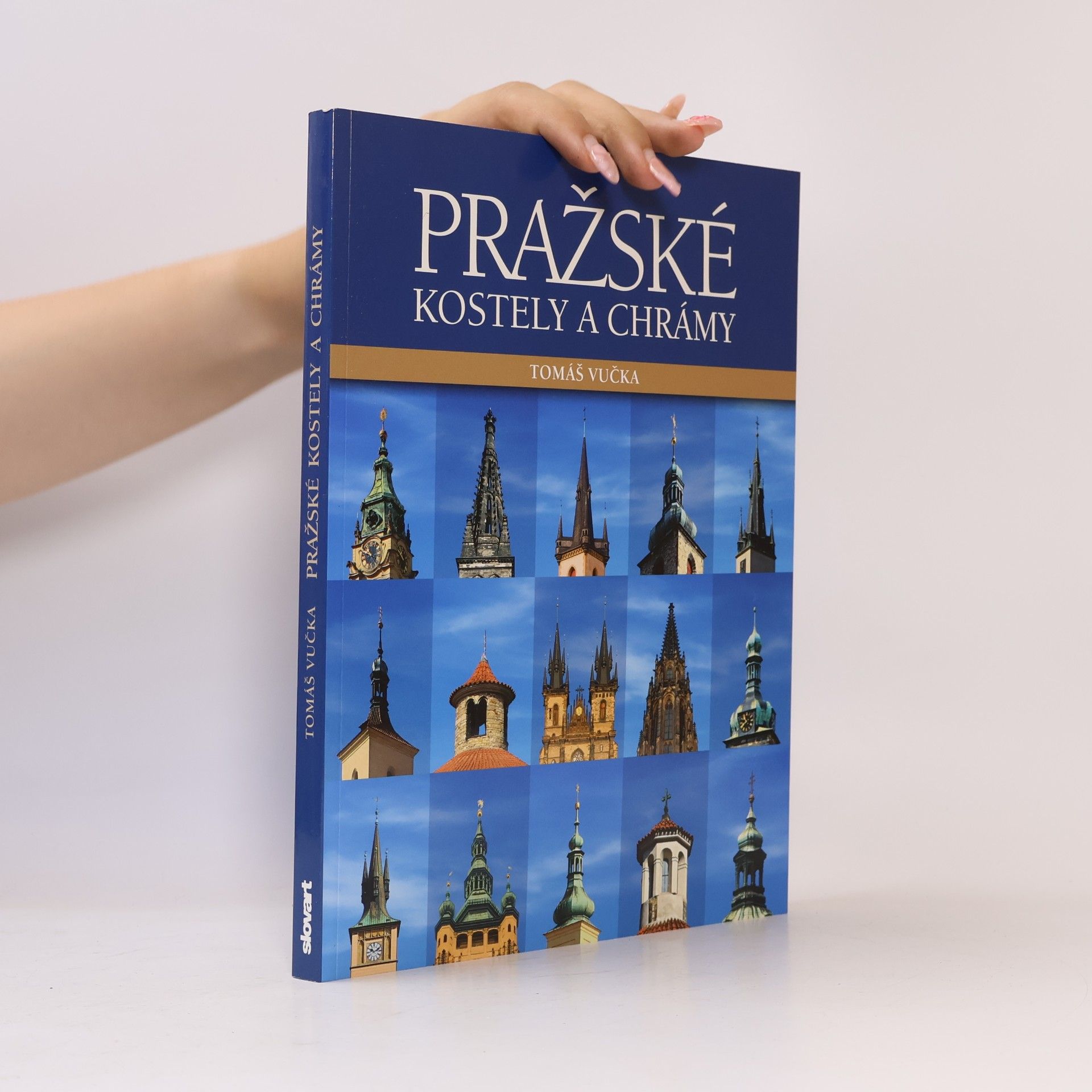 Tomáš Vučka Pražské kostely a chrámy