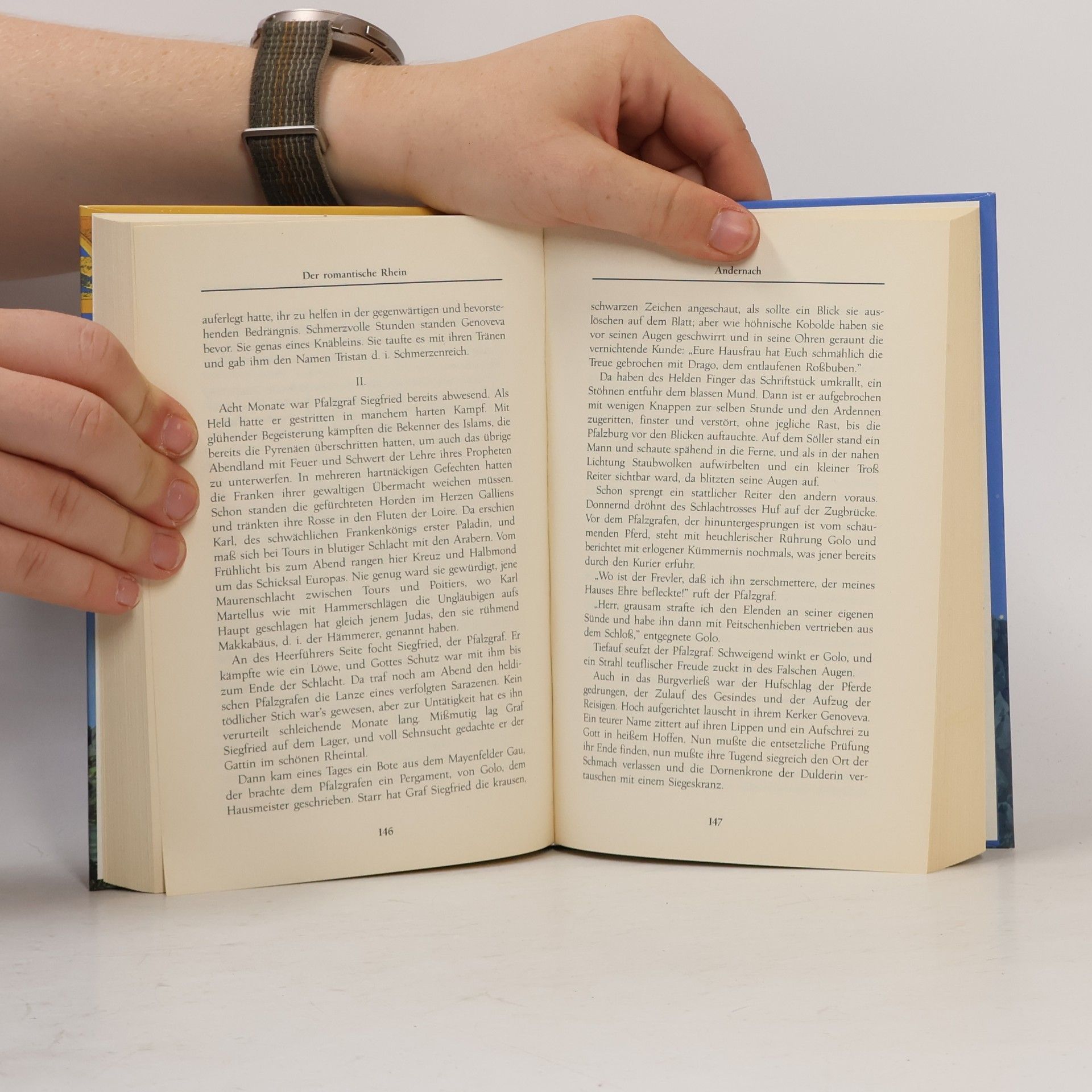 Wilhelm Ruland Rheinisches Sagenbuch