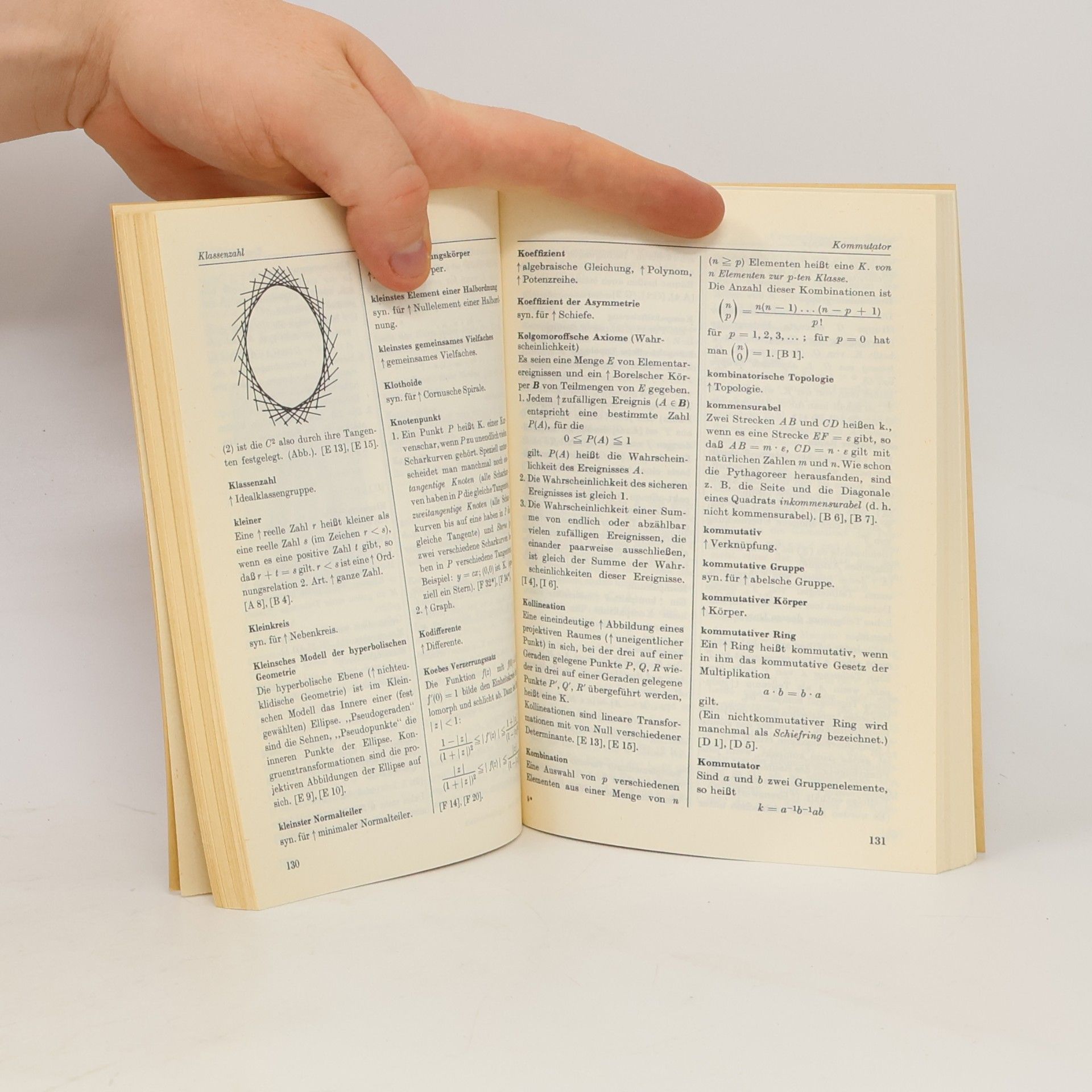 Herbert Meschkowski Mathematisches Begriffswörterbuch