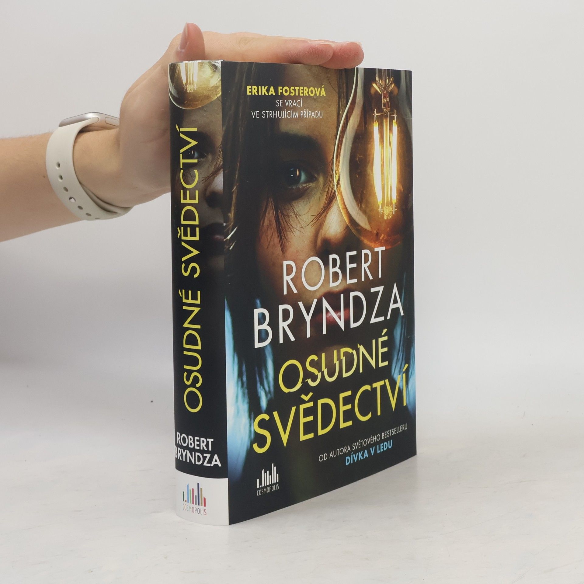 Robert Bryndza Osudné svědectví