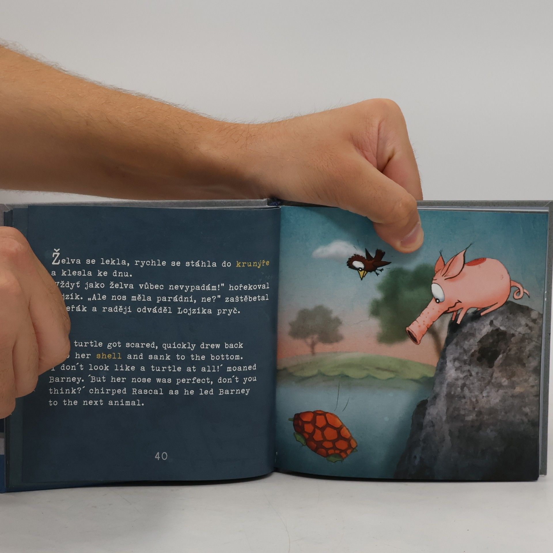Pavel Ondrašík O prasátku Lojzíkovi = Barney the piglet