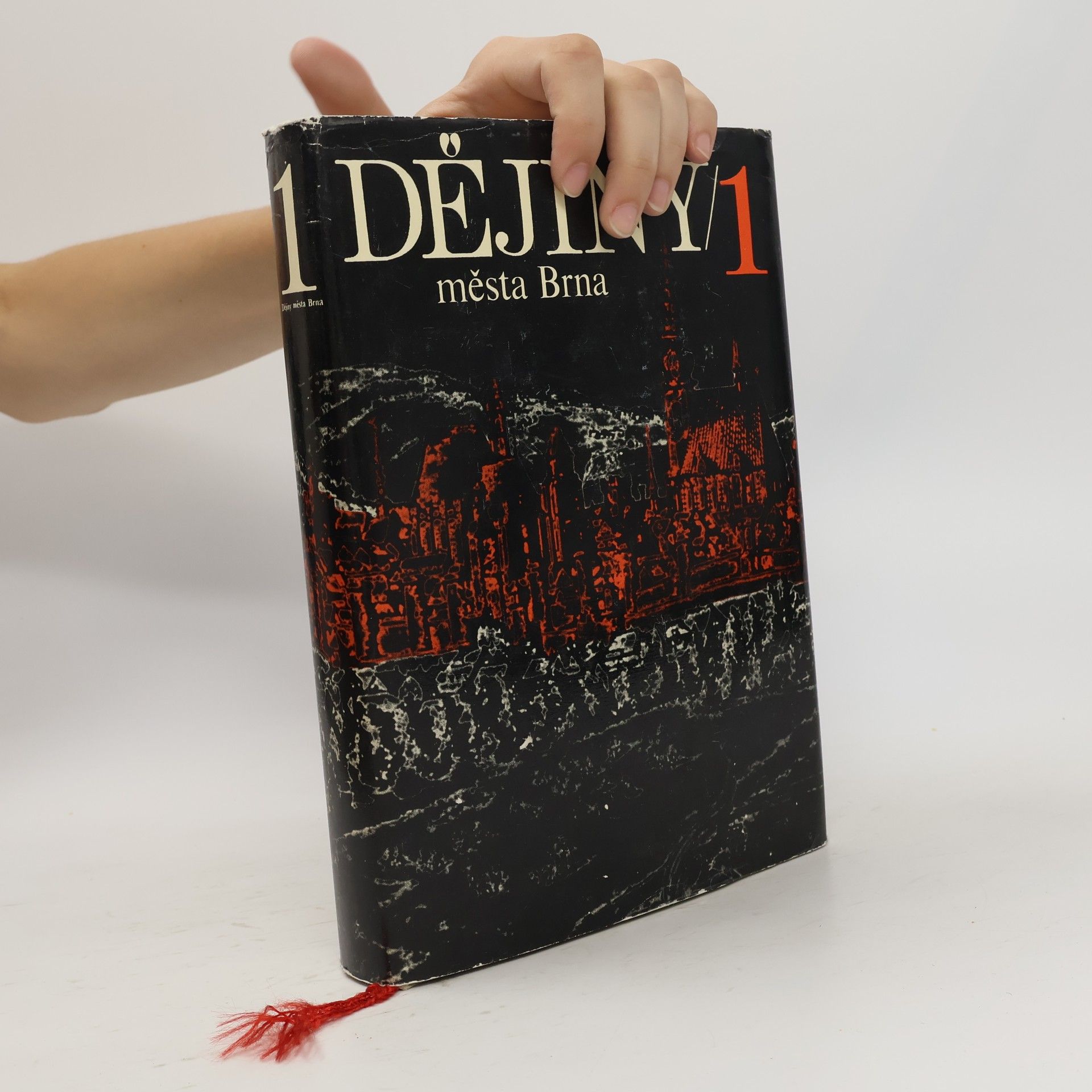 Various authors Dějiny města Brna. 1