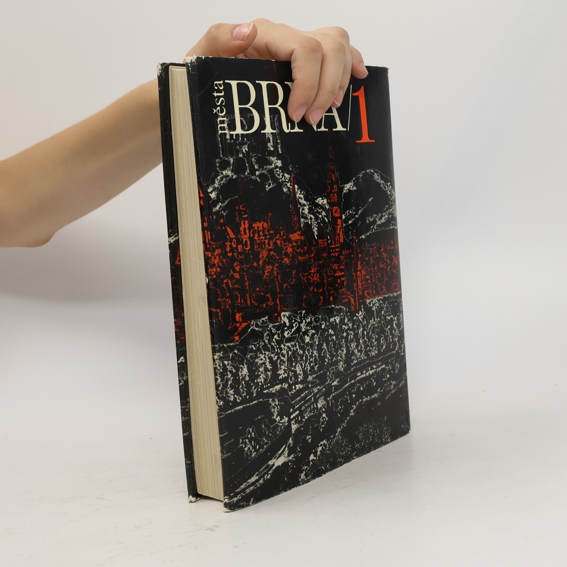 Various authors Dějiny města Brna. 1