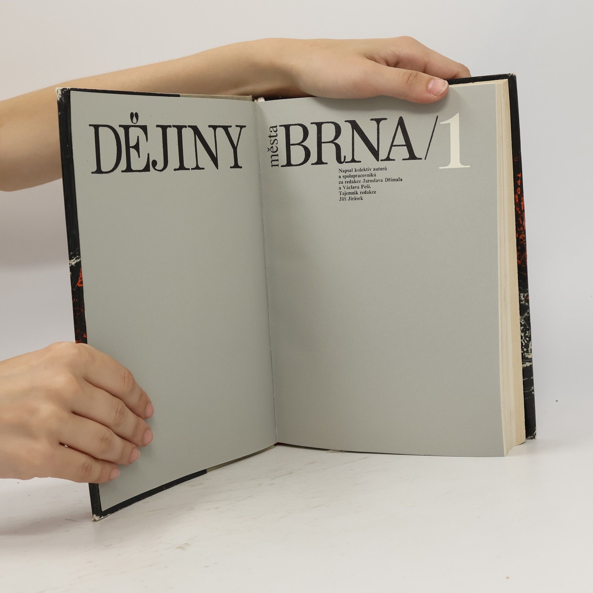 Various authors Dějiny města Brna. 1
