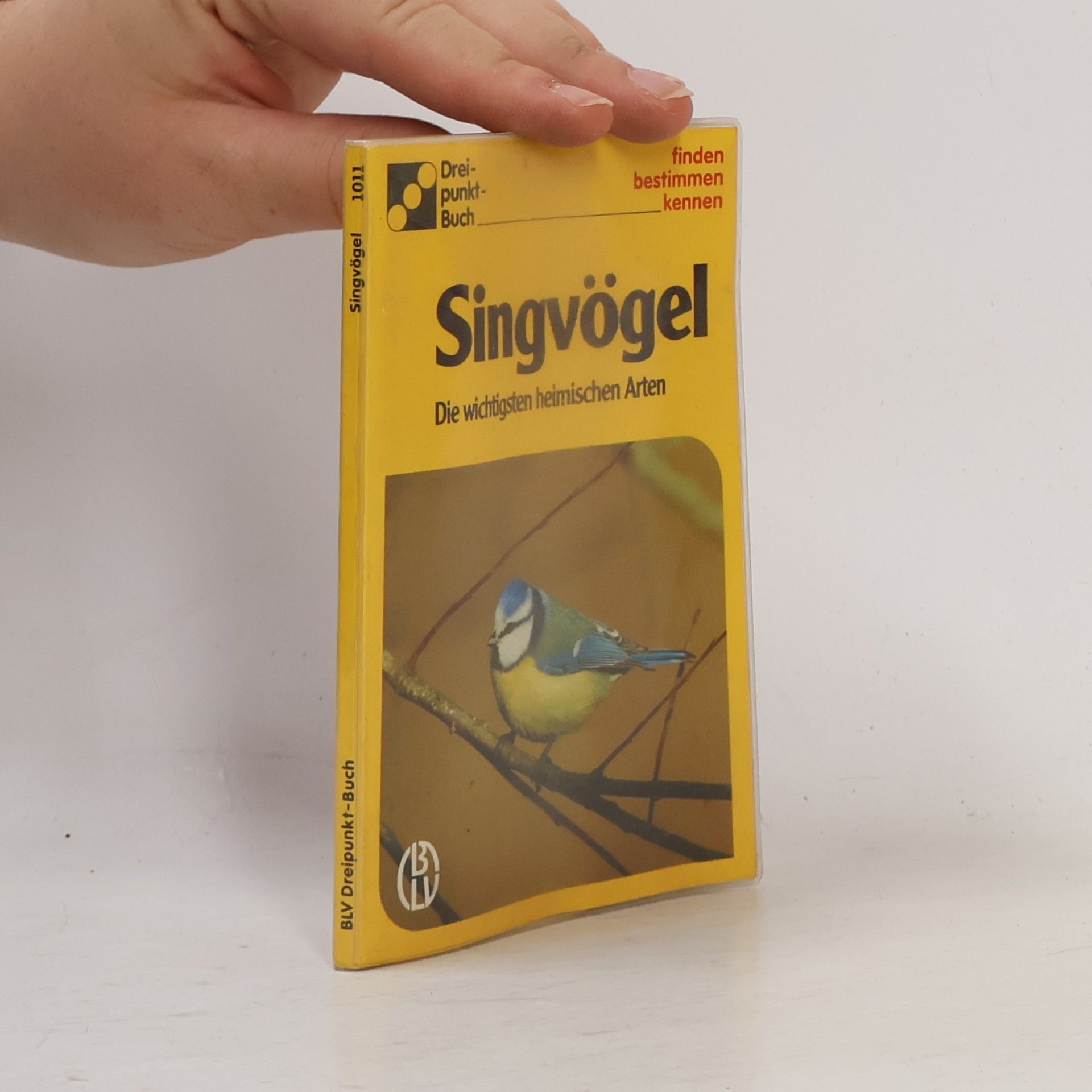 Singvögel