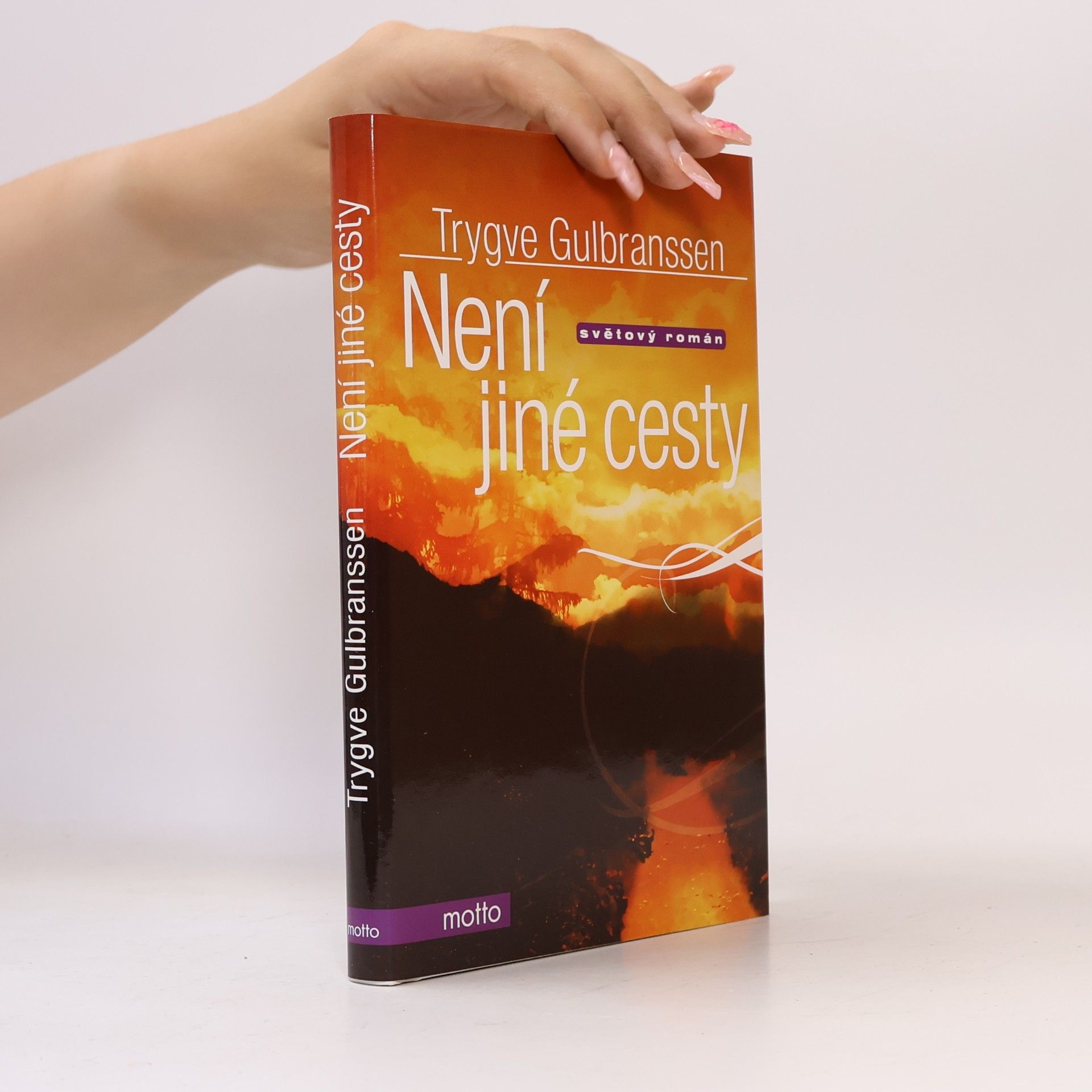 Trygve Gulbranssen Není jiné cesty