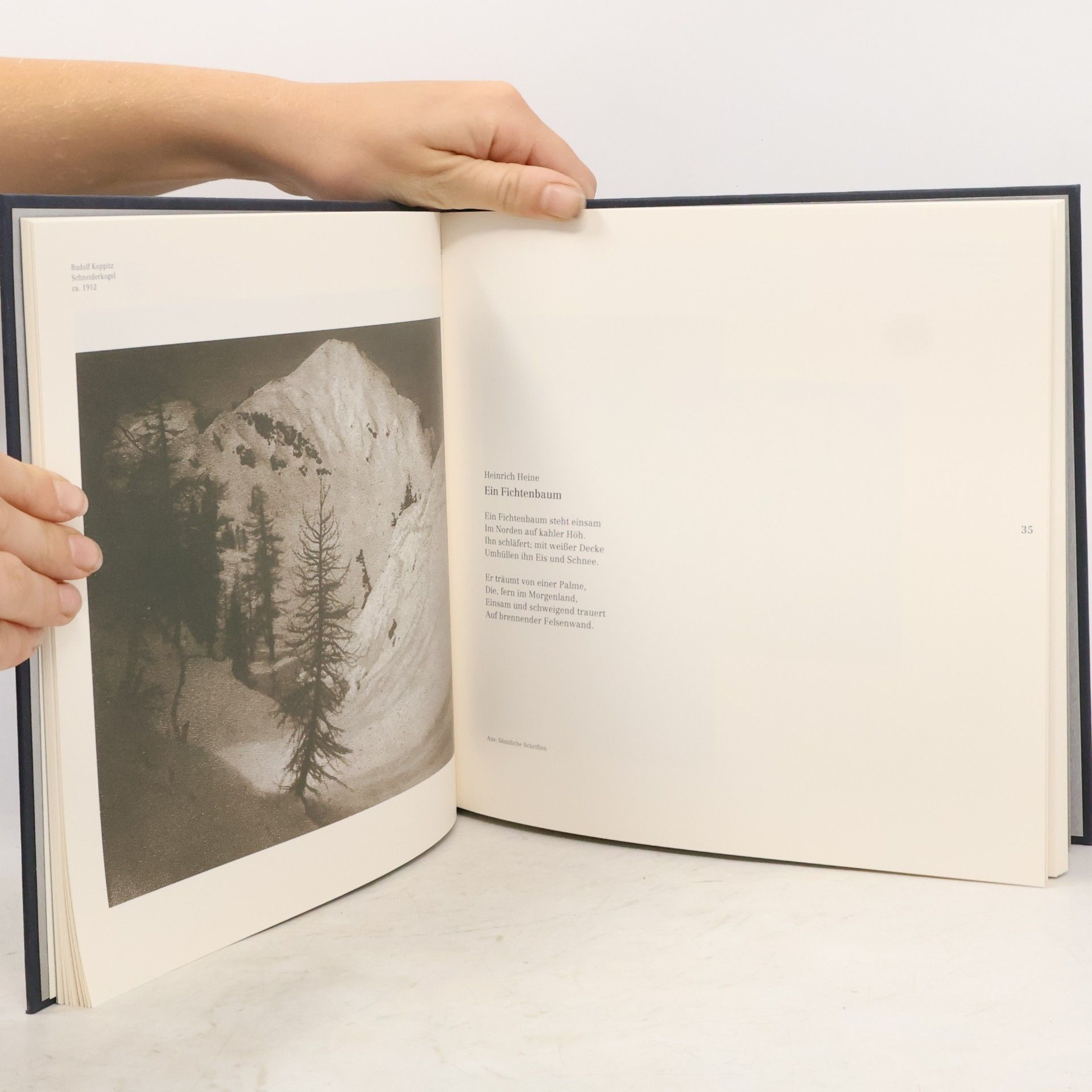 Susan Bollinger Winterreisen: Farbige Schatten